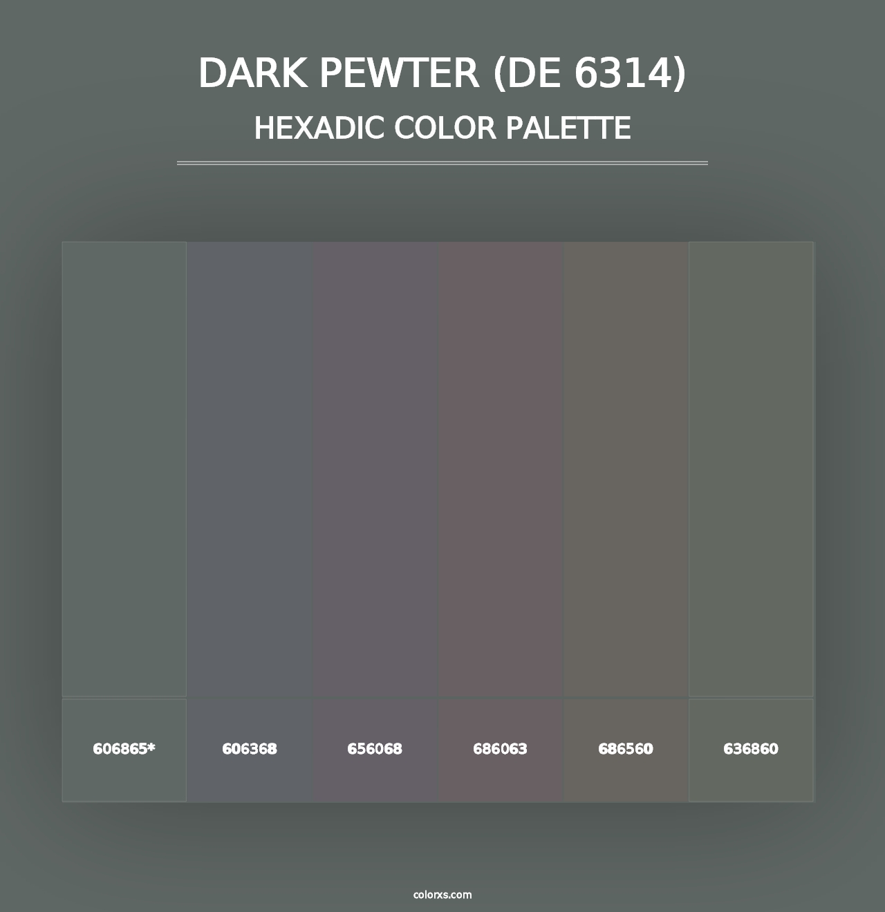 Dark Pewter (DE 6314) - Hexadic Color Palette