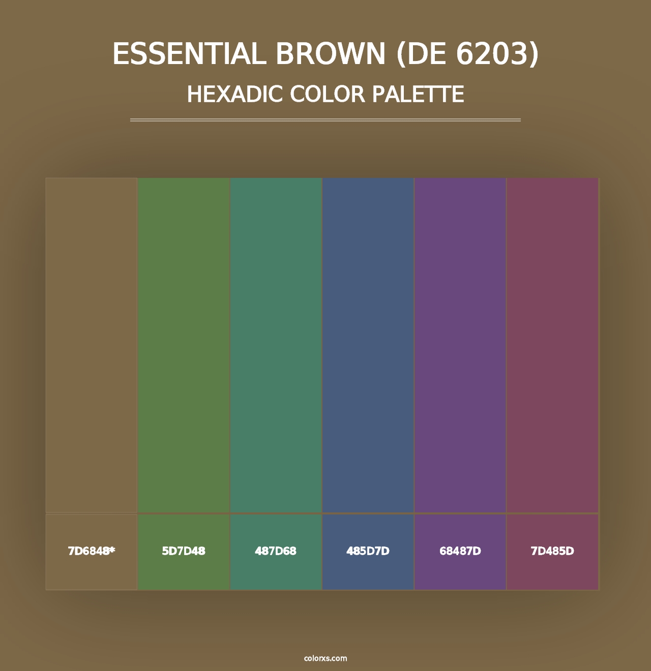 Essential Brown (DE 6203) - Hexadic Color Palette