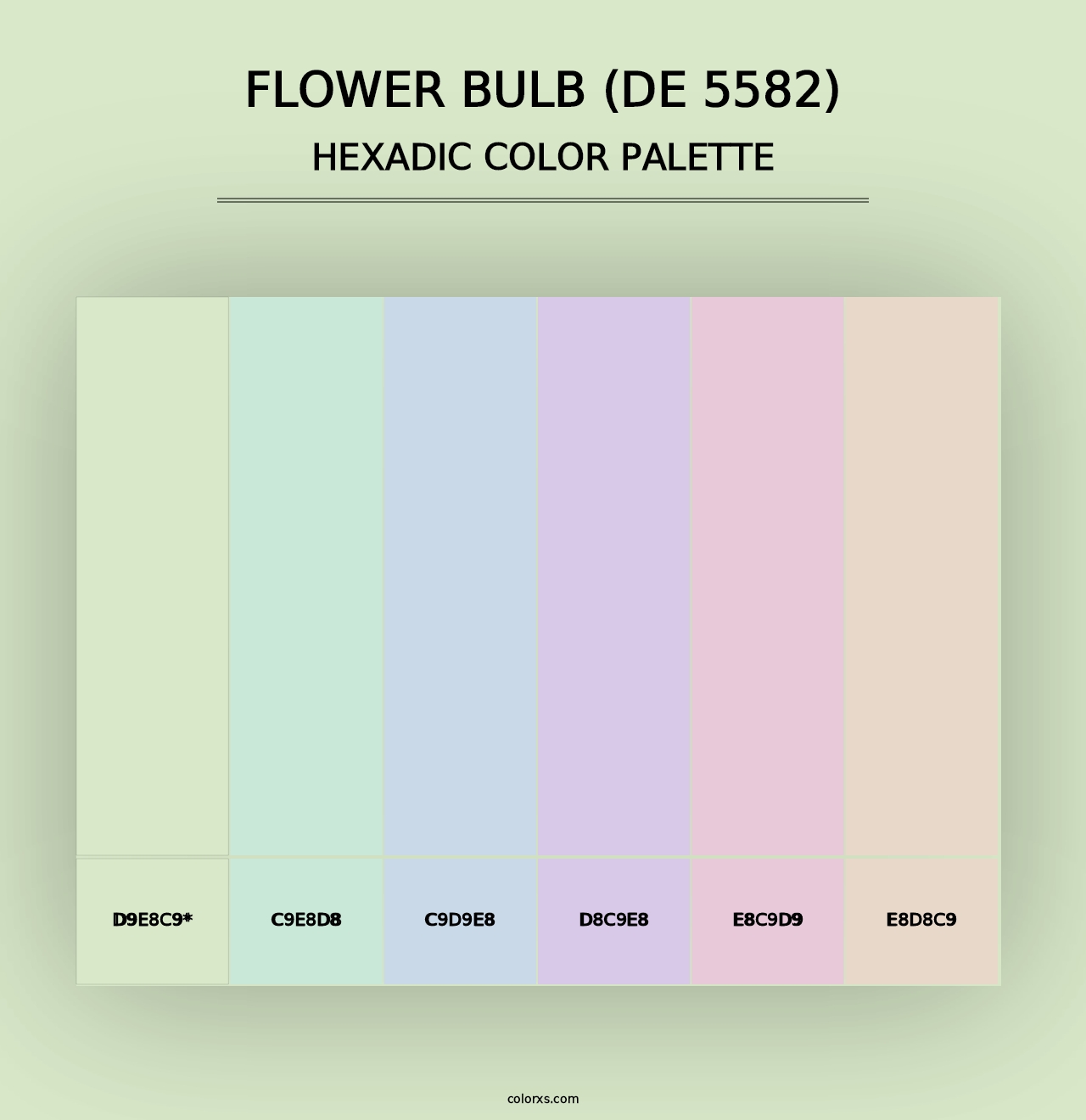 Flower Bulb (DE 5582) - Hexadic Color Palette