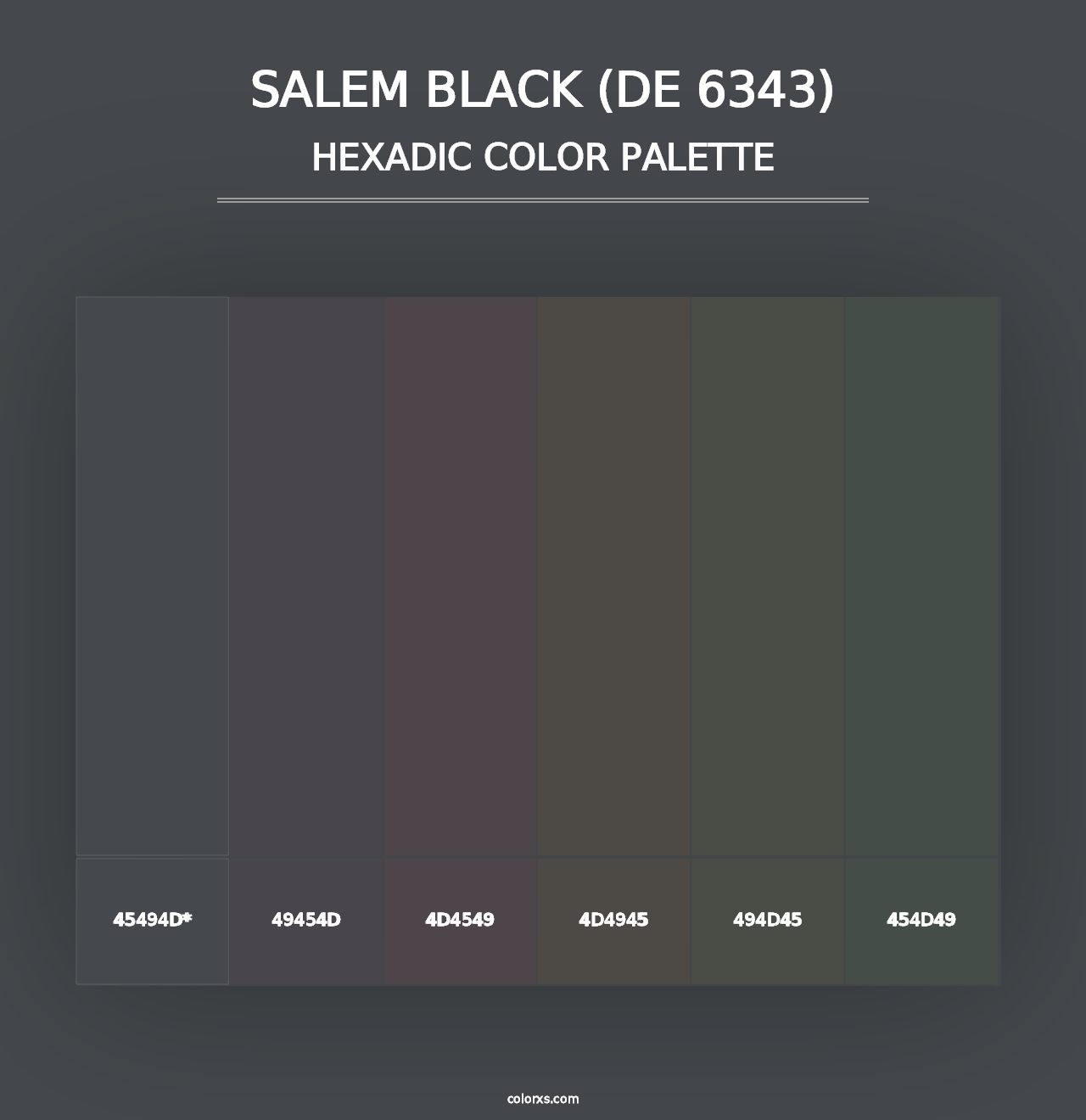 Salem Black (DE 6343) - Hexadic Color Palette