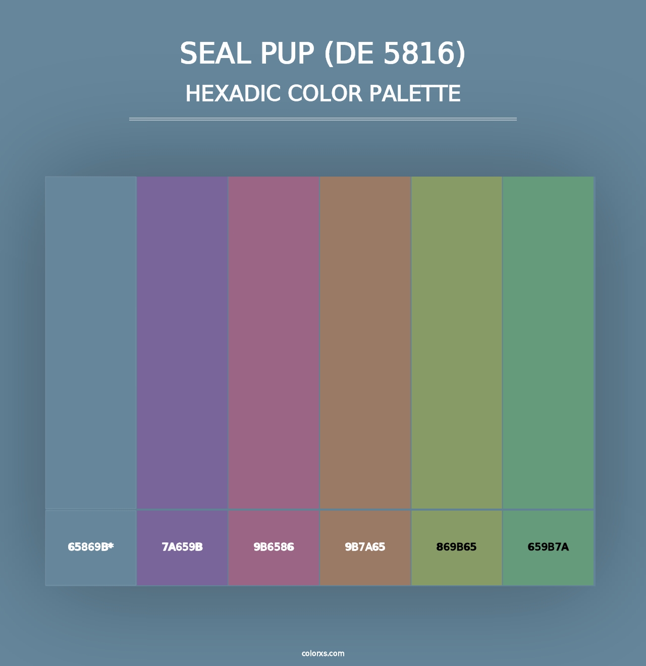 Seal Pup (DE 5816) - Hexadic Color Palette