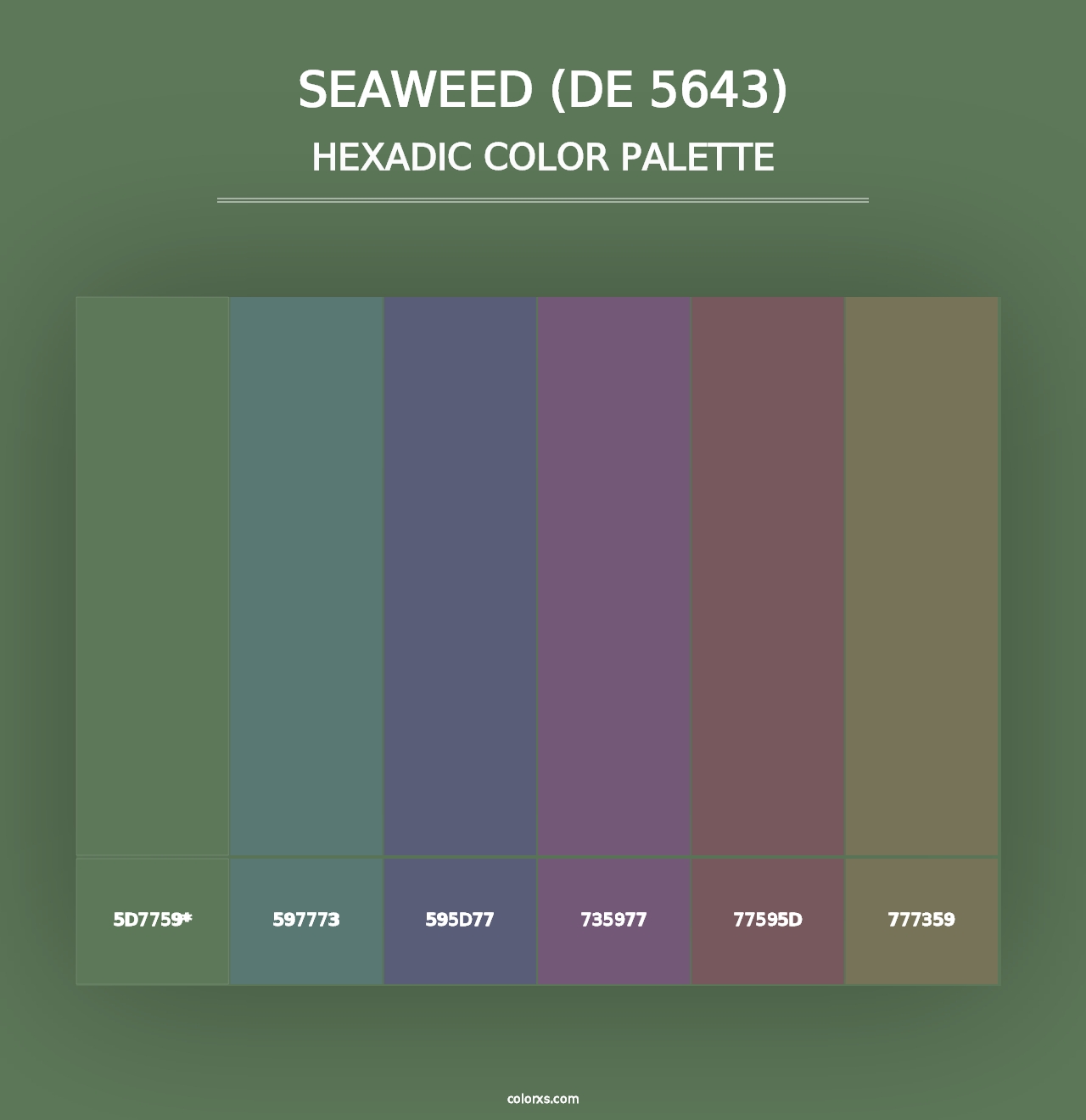 Seaweed (DE 5643) - Hexadic Color Palette