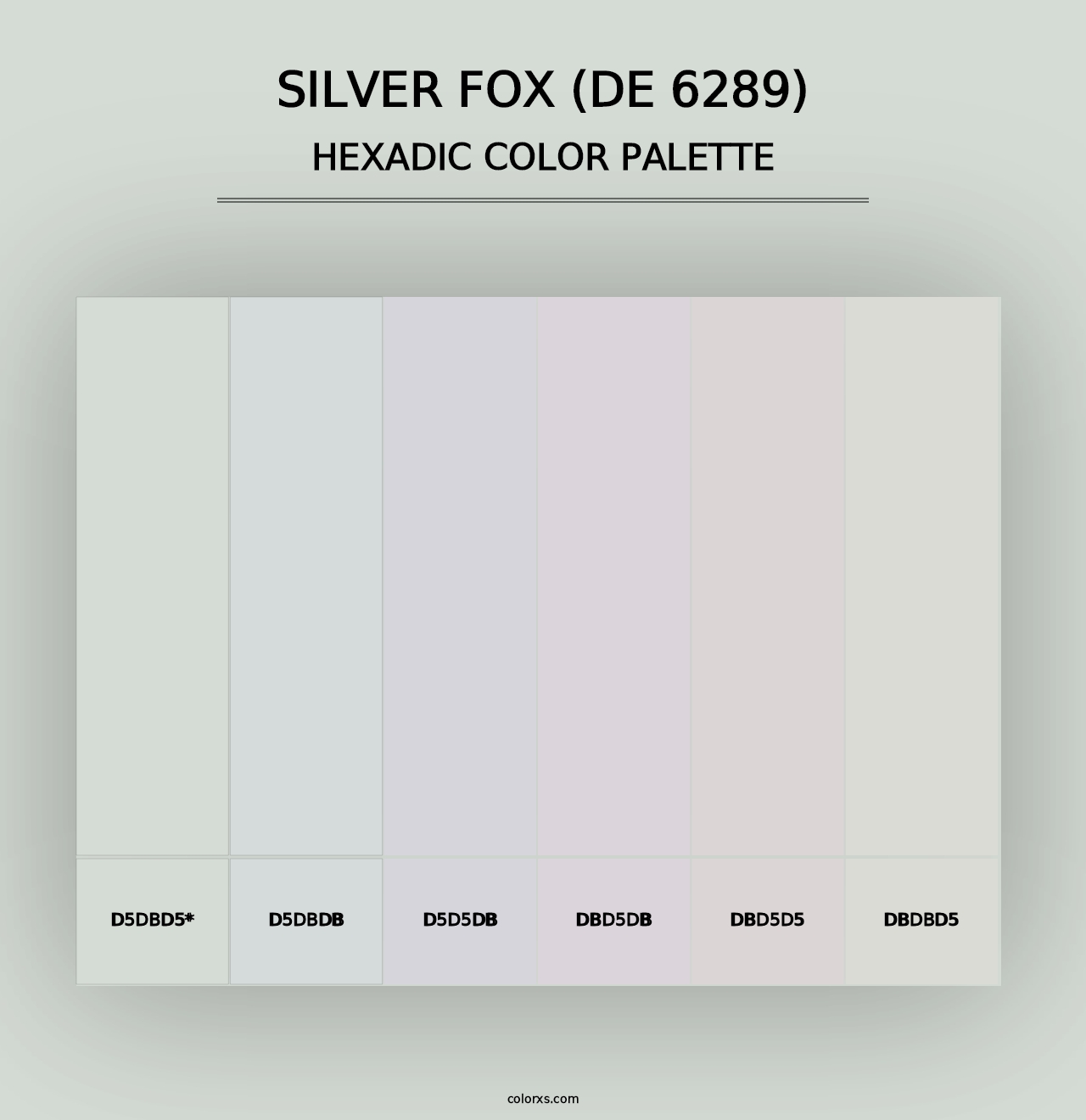 Silver Fox (DE 6289) - Hexadic Color Palette