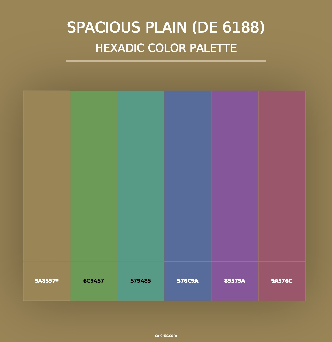 Spacious Plain (DE 6188) - Hexadic Color Palette