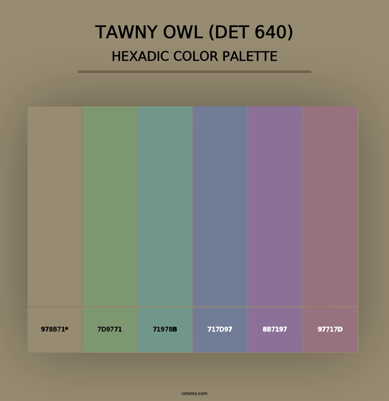 Tawny Owl (DET 640) - Hexadic Color Palette