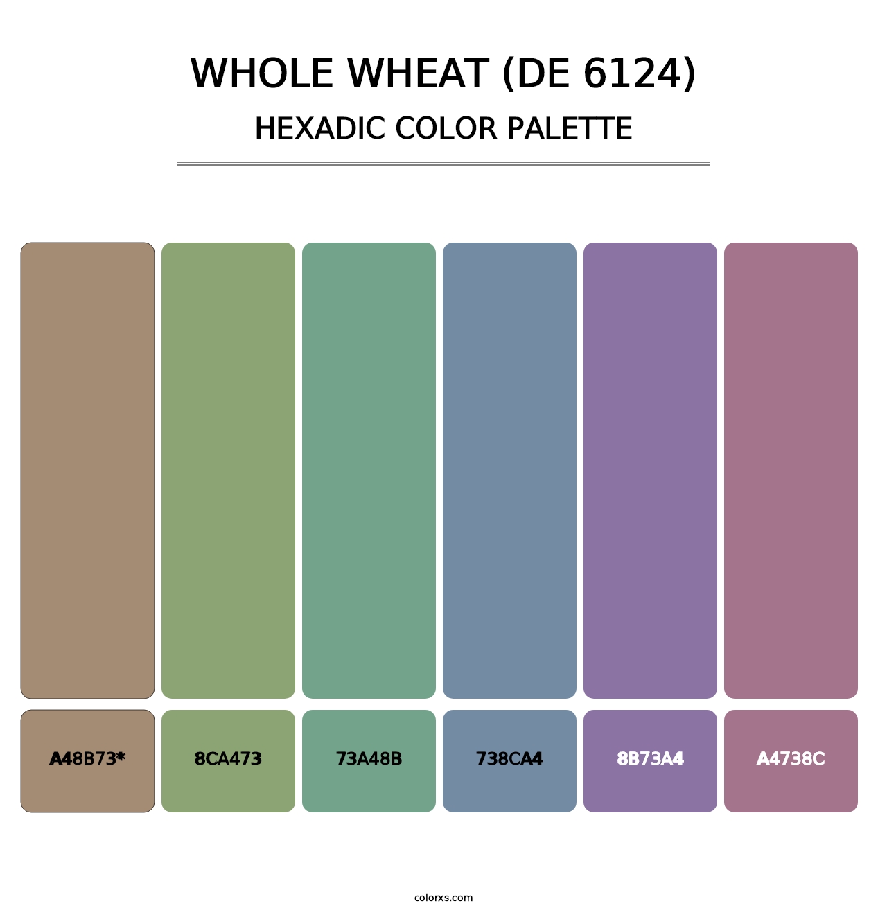 Whole Wheat (DE 6124) - Hexadic Color Palette