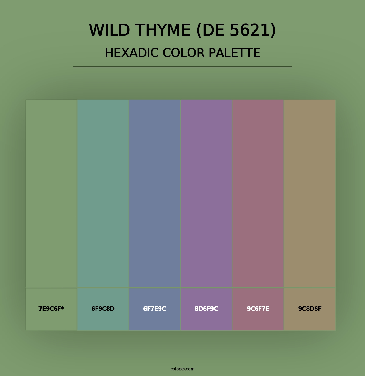 Wild Thyme (DE 5621) - Hexadic Color Palette