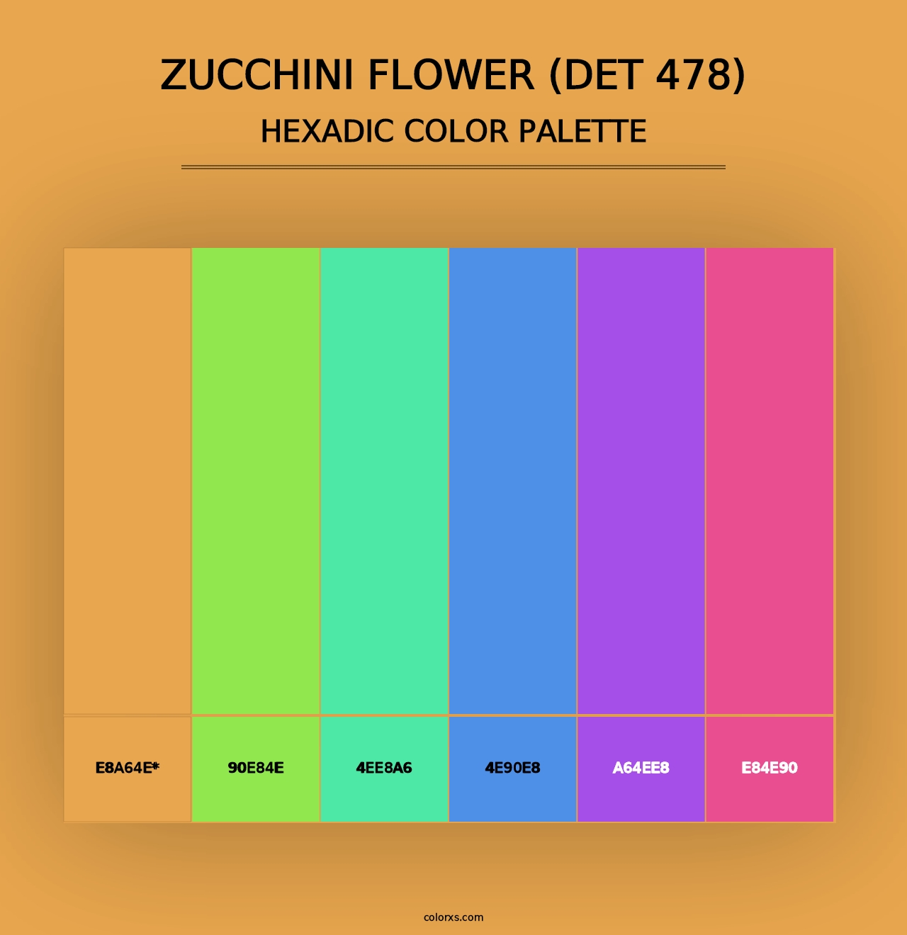 Zucchini Flower (DET 478) - Hexadic Color Palette