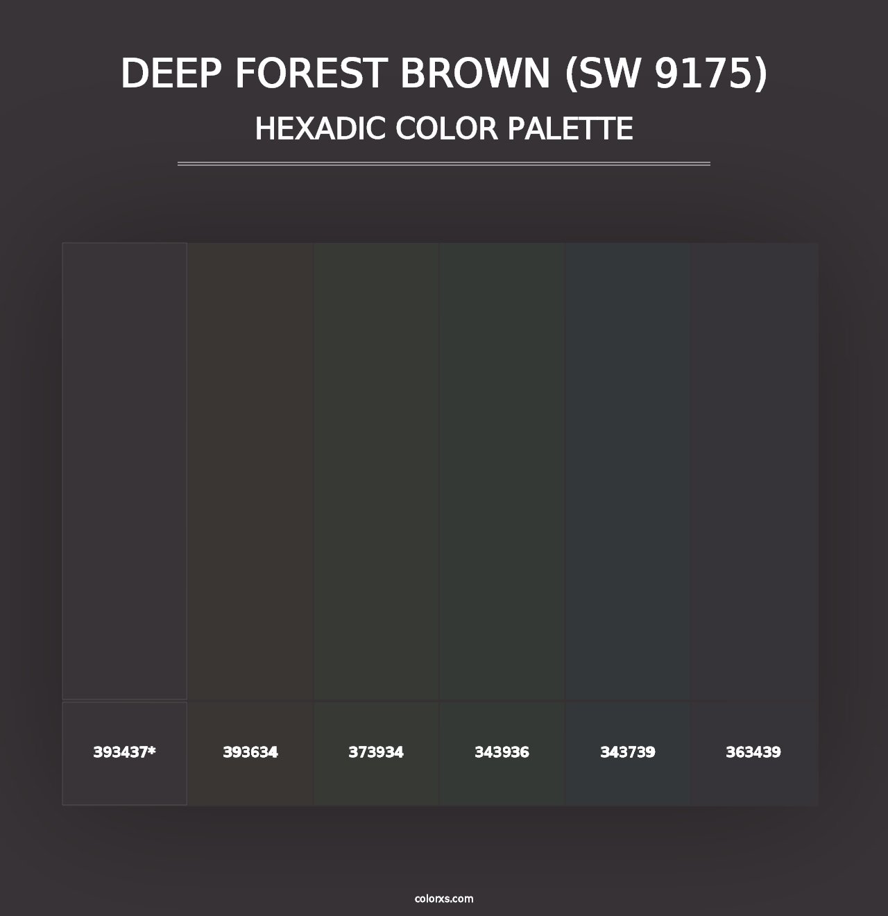 Deep Forest Brown (SW 9175) - Hexadic Color Palette