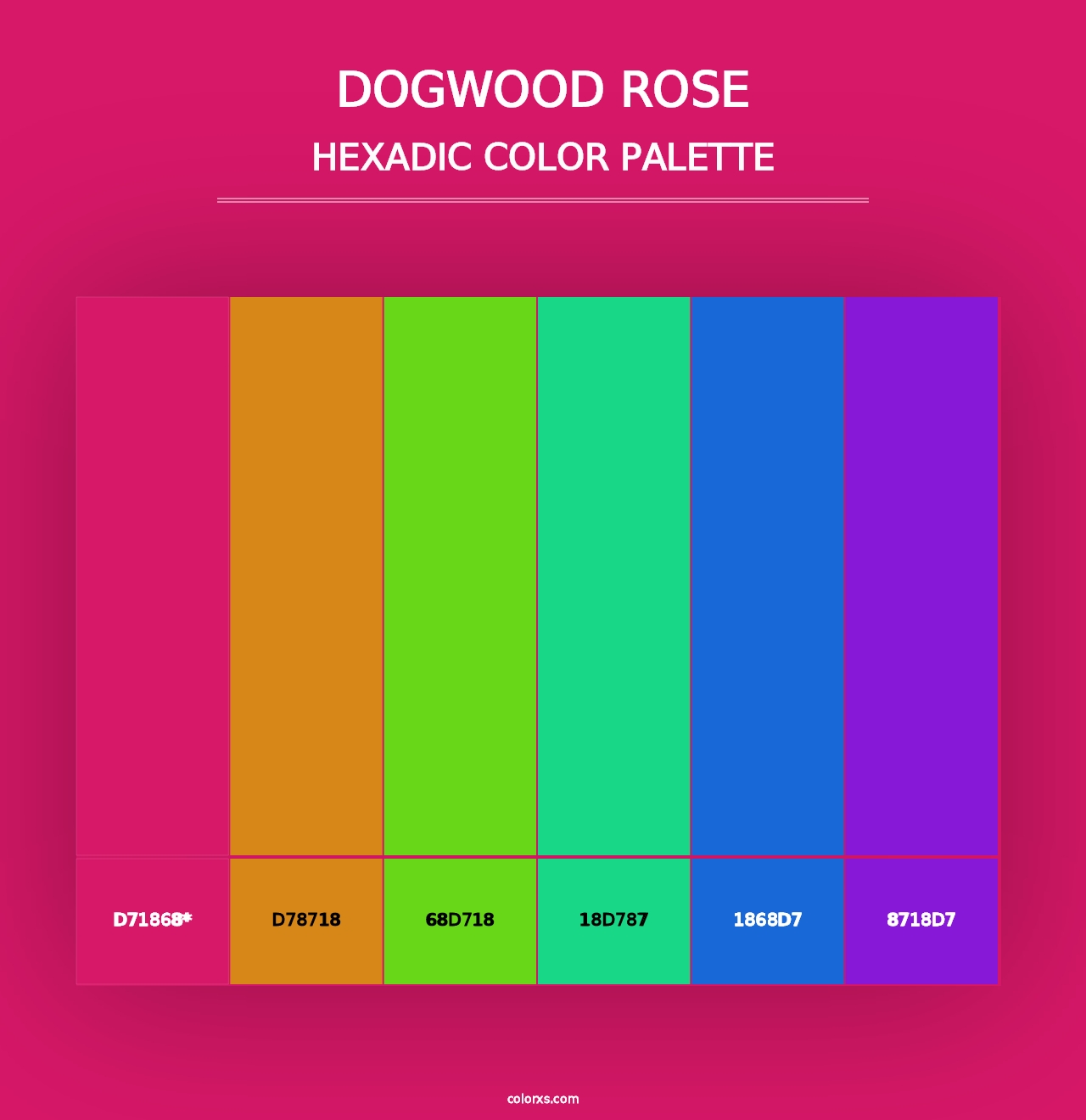 Dogwood Rose - Hexadic Color Palette