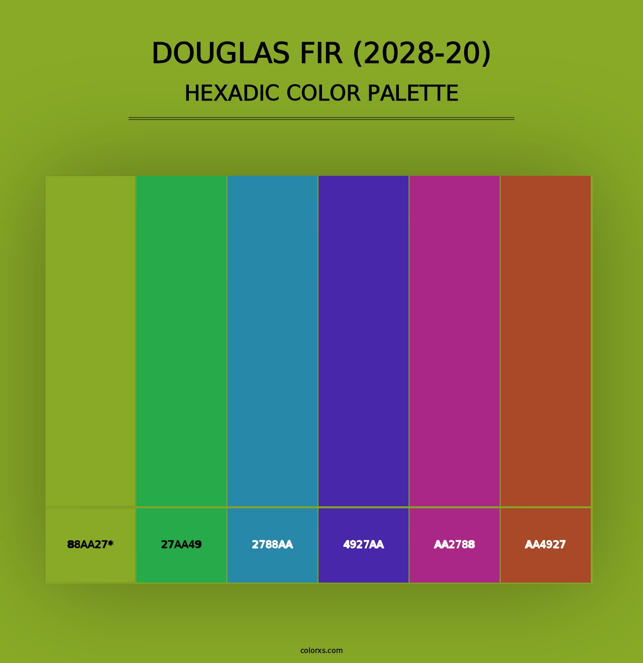 Douglas Fir (2028-20) - Hexadic Color Palette