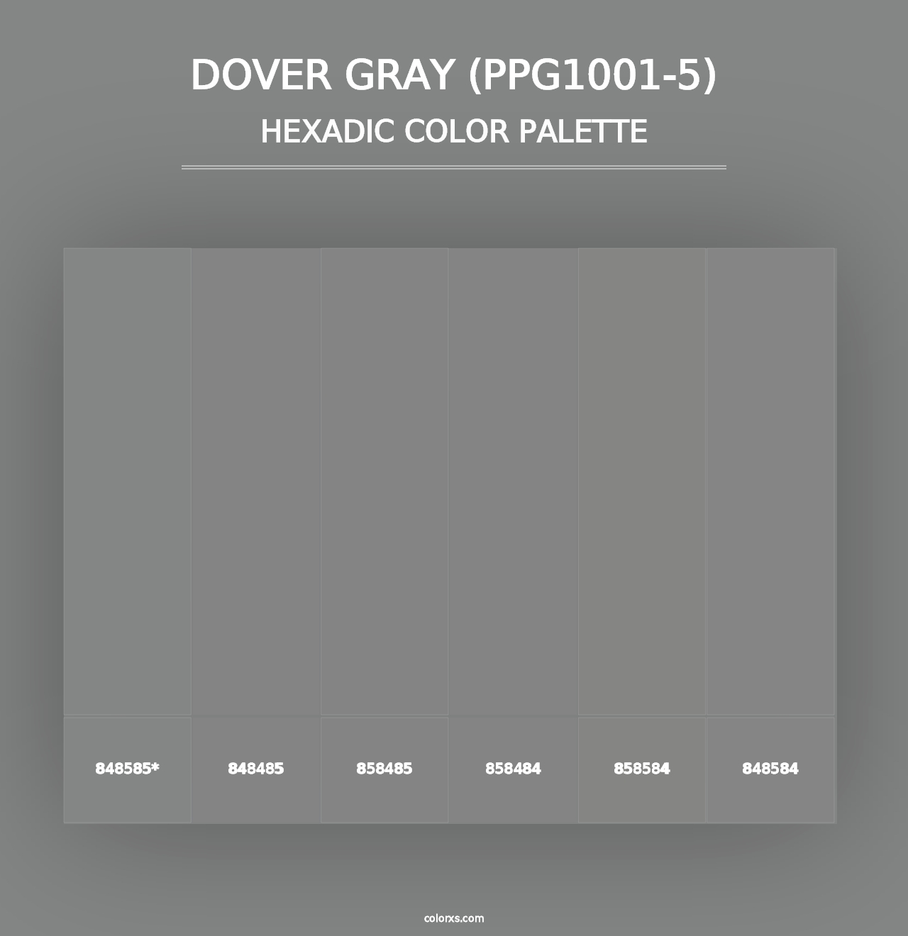 Dover Gray (PPG1001-5) - Hexadic Color Palette