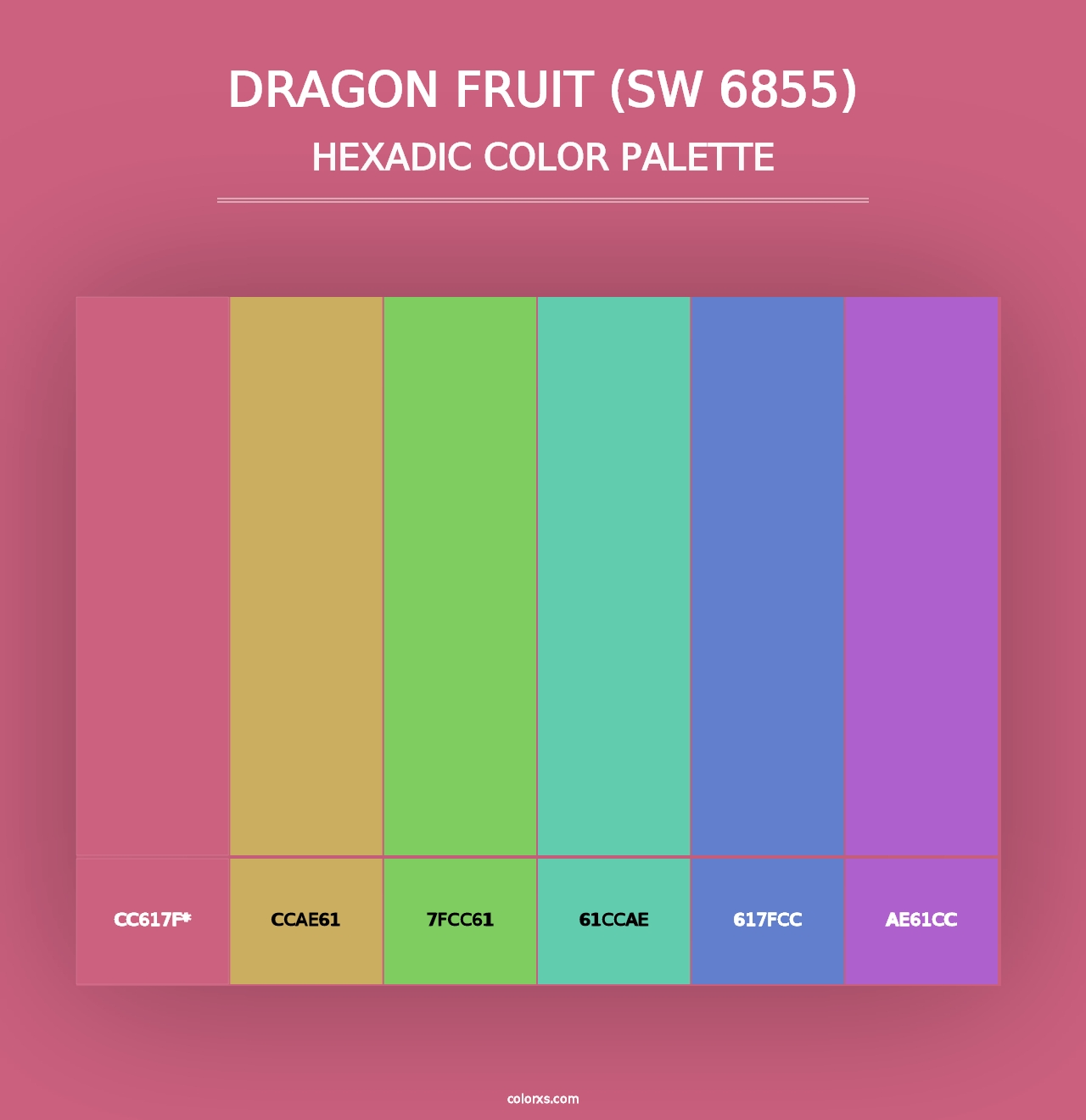 Dragon Fruit (SW 6855) - Hexadic Color Palette