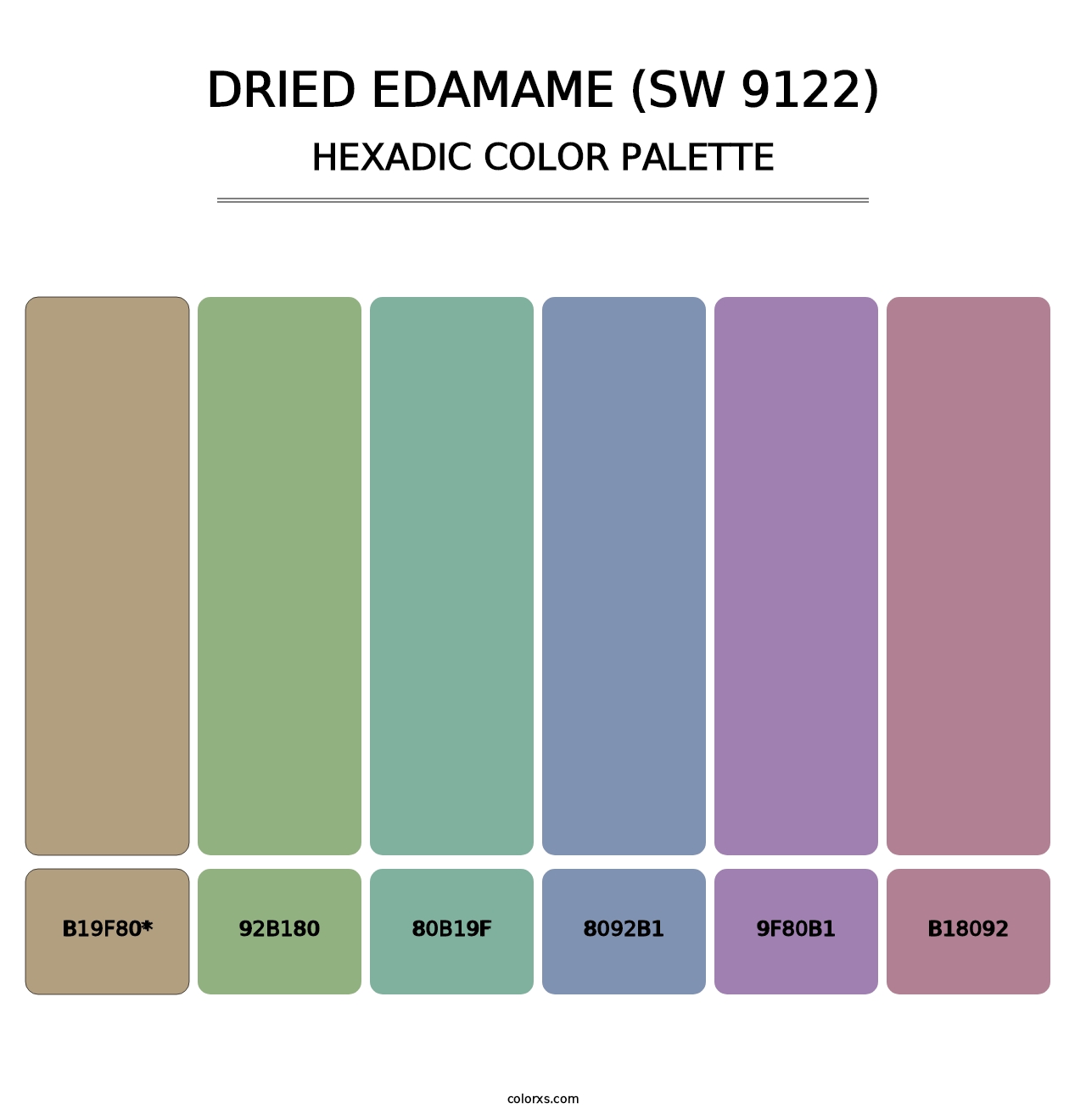 Dried Edamame (SW 9122) - Hexadic Color Palette