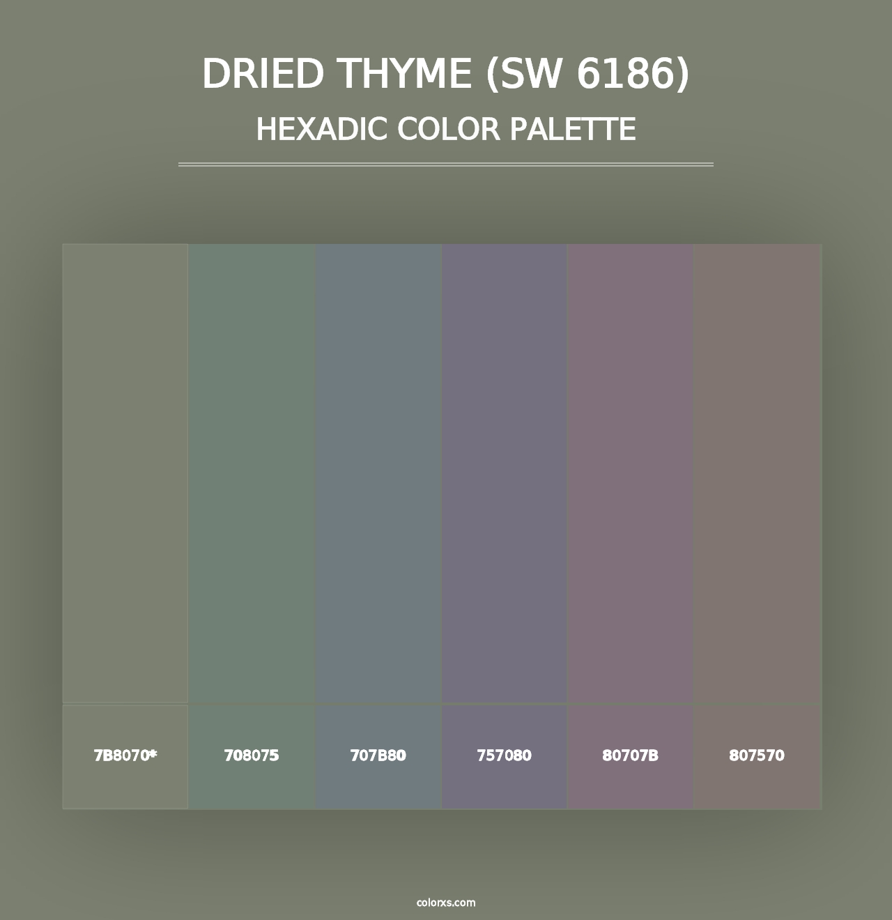 Dried Thyme (SW 6186) - Hexadic Color Palette