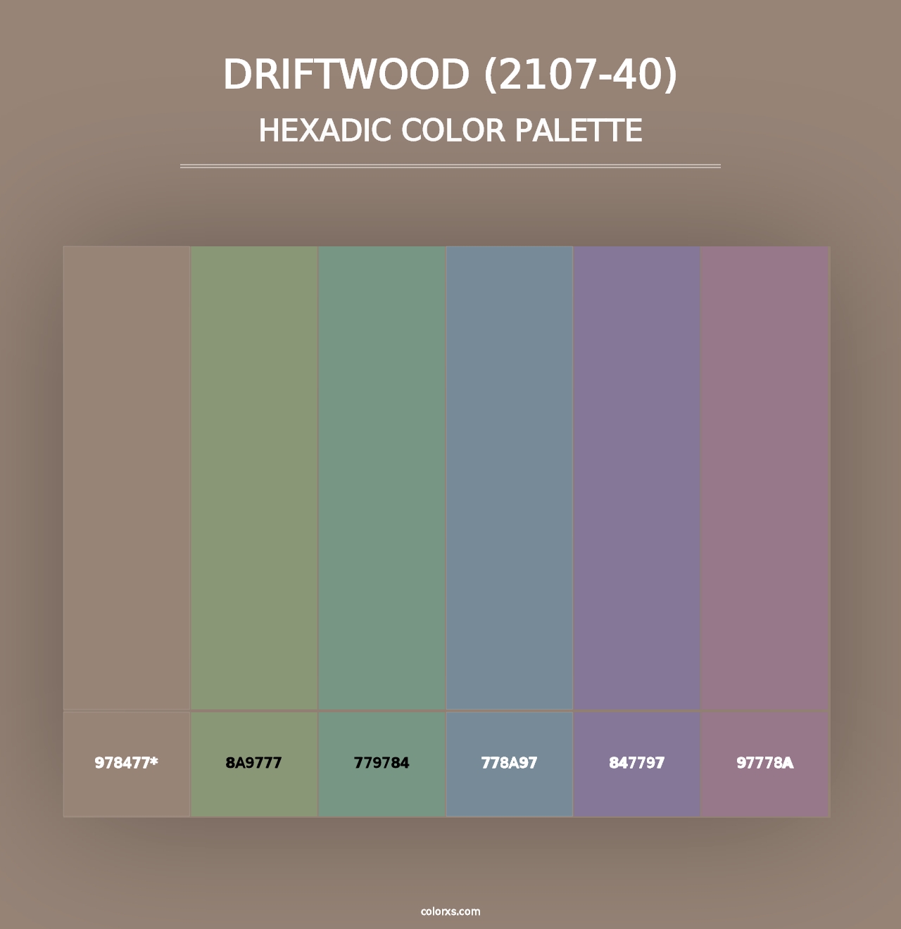 Driftwood (2107-40) - Hexadic Color Palette