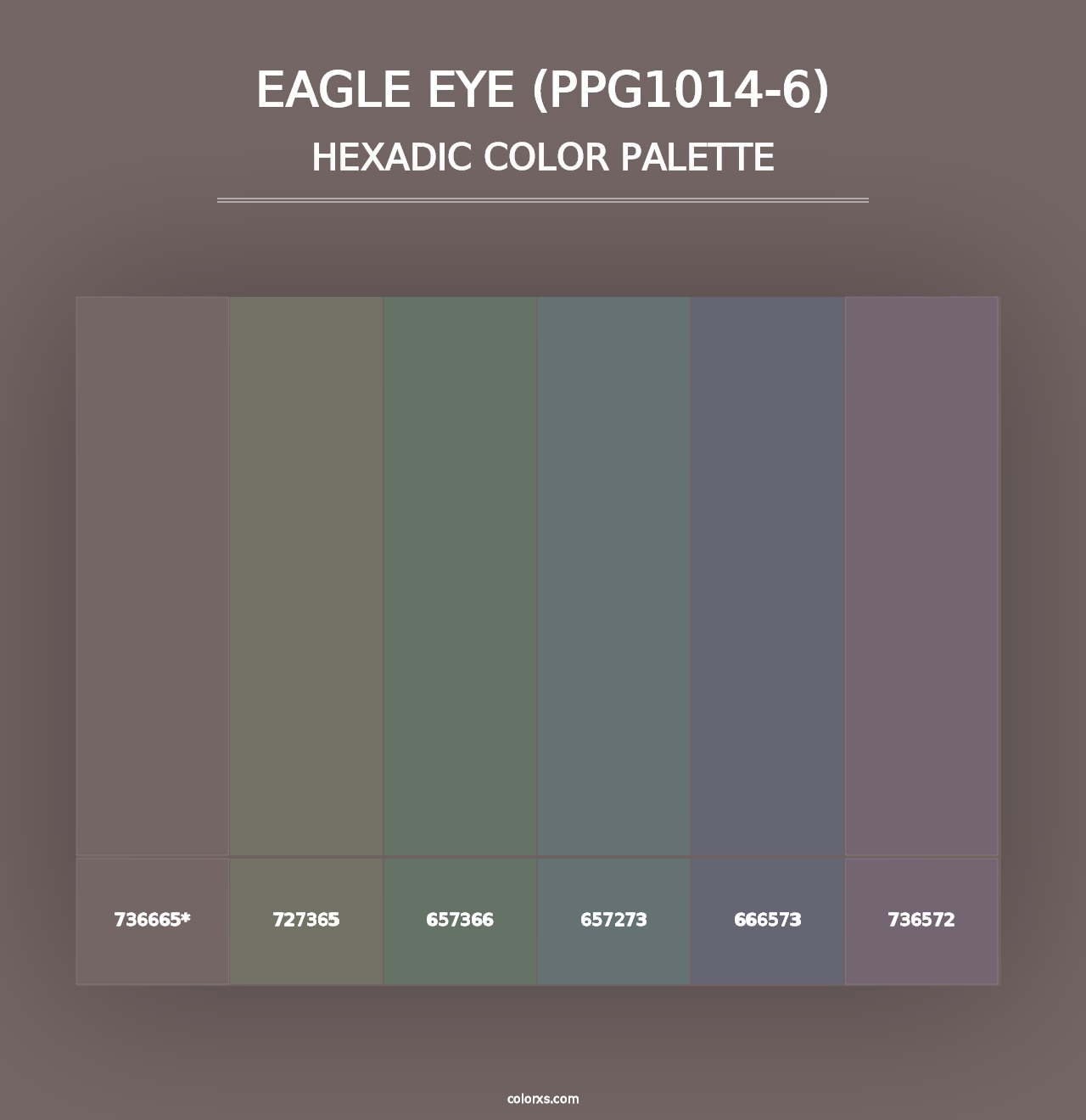 Eagle Eye (PPG1014-6) - Hexadic Color Palette