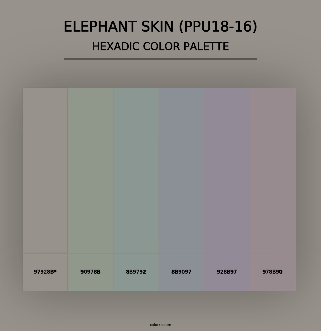 Elephant Skin (PPU18-16) - Hexadic Color Palette