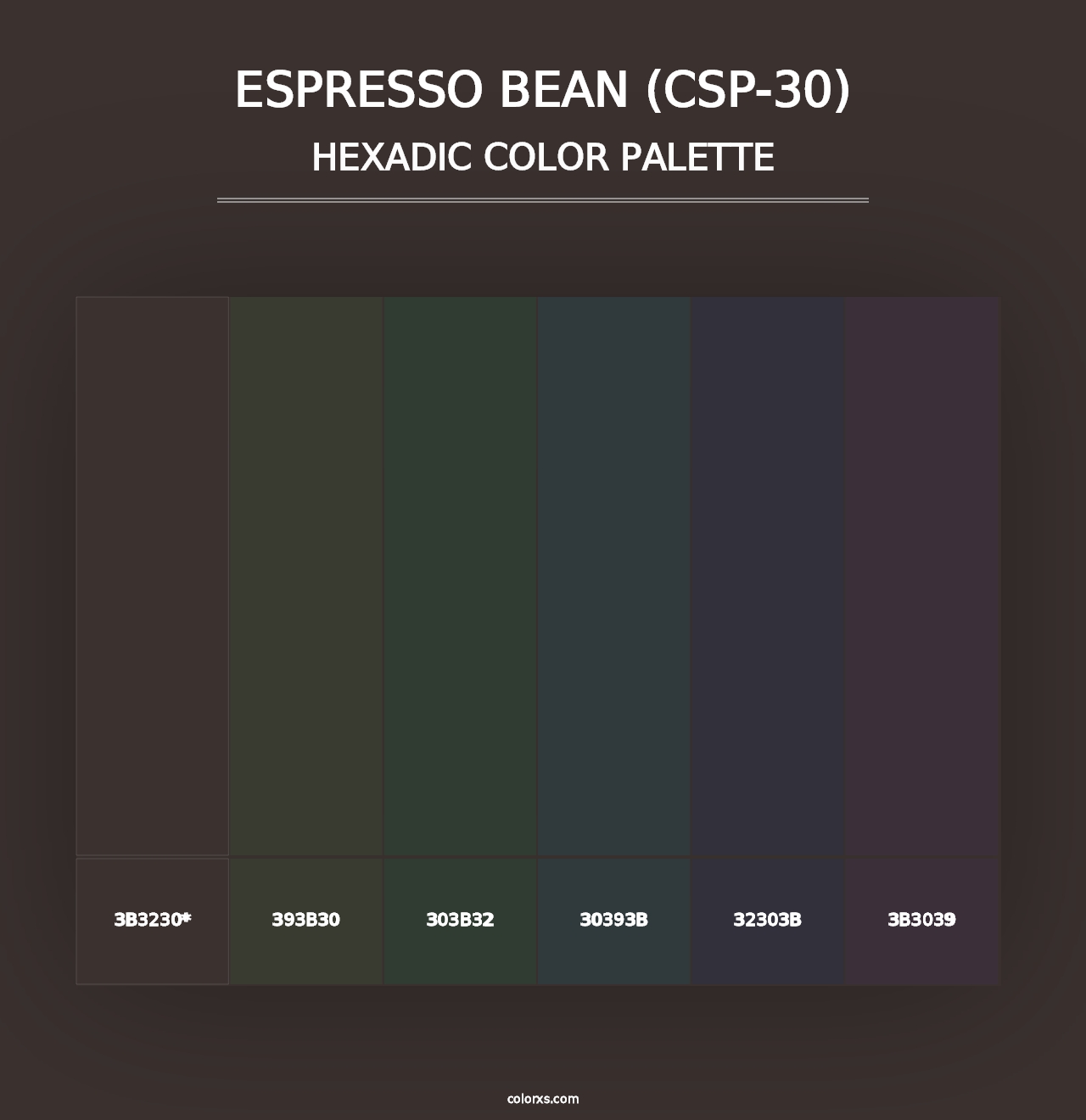 Espresso Bean (CSP-30) - Hexadic Color Palette