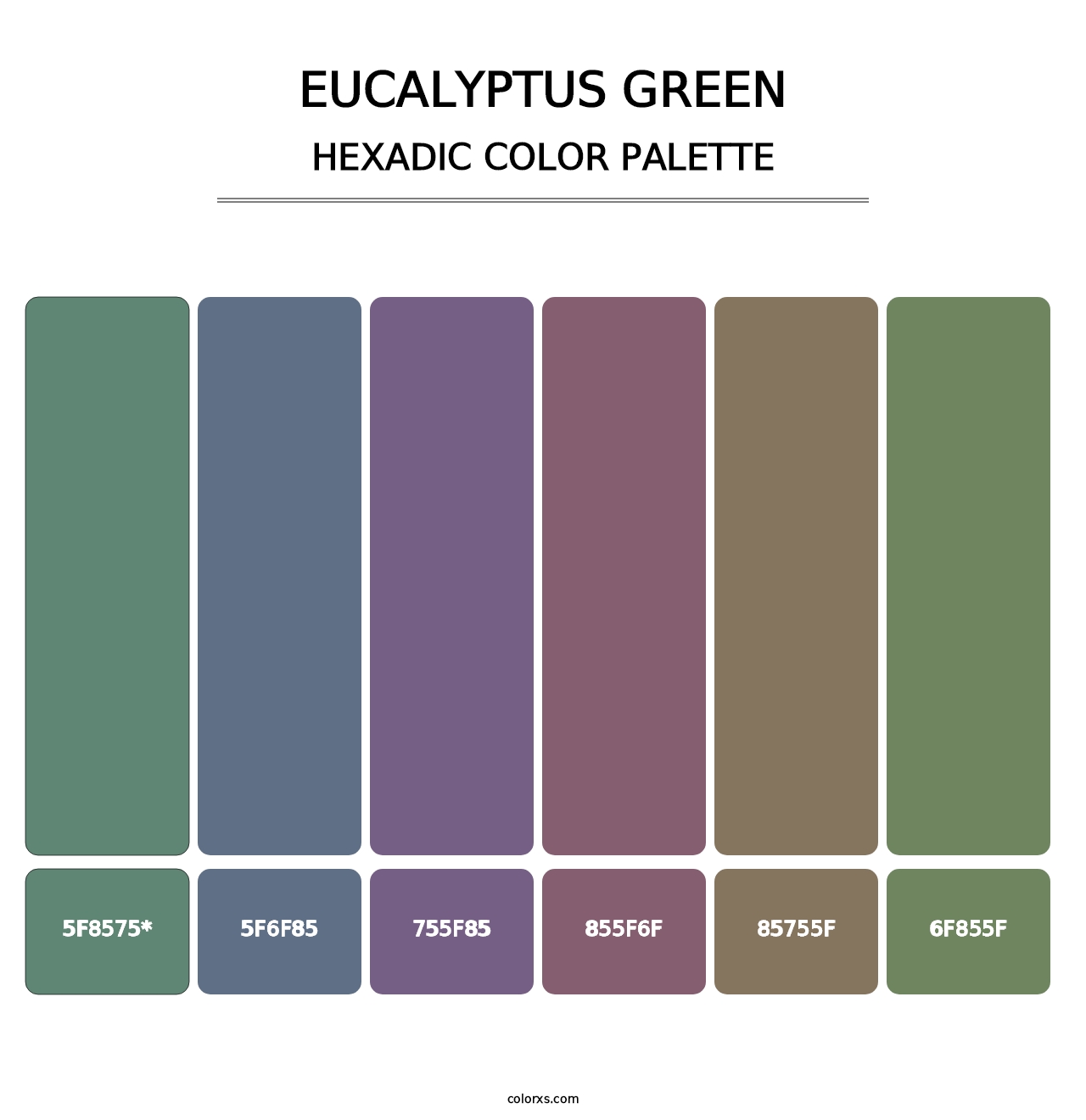 Eucalyptus Green - Hexadic Color Palette