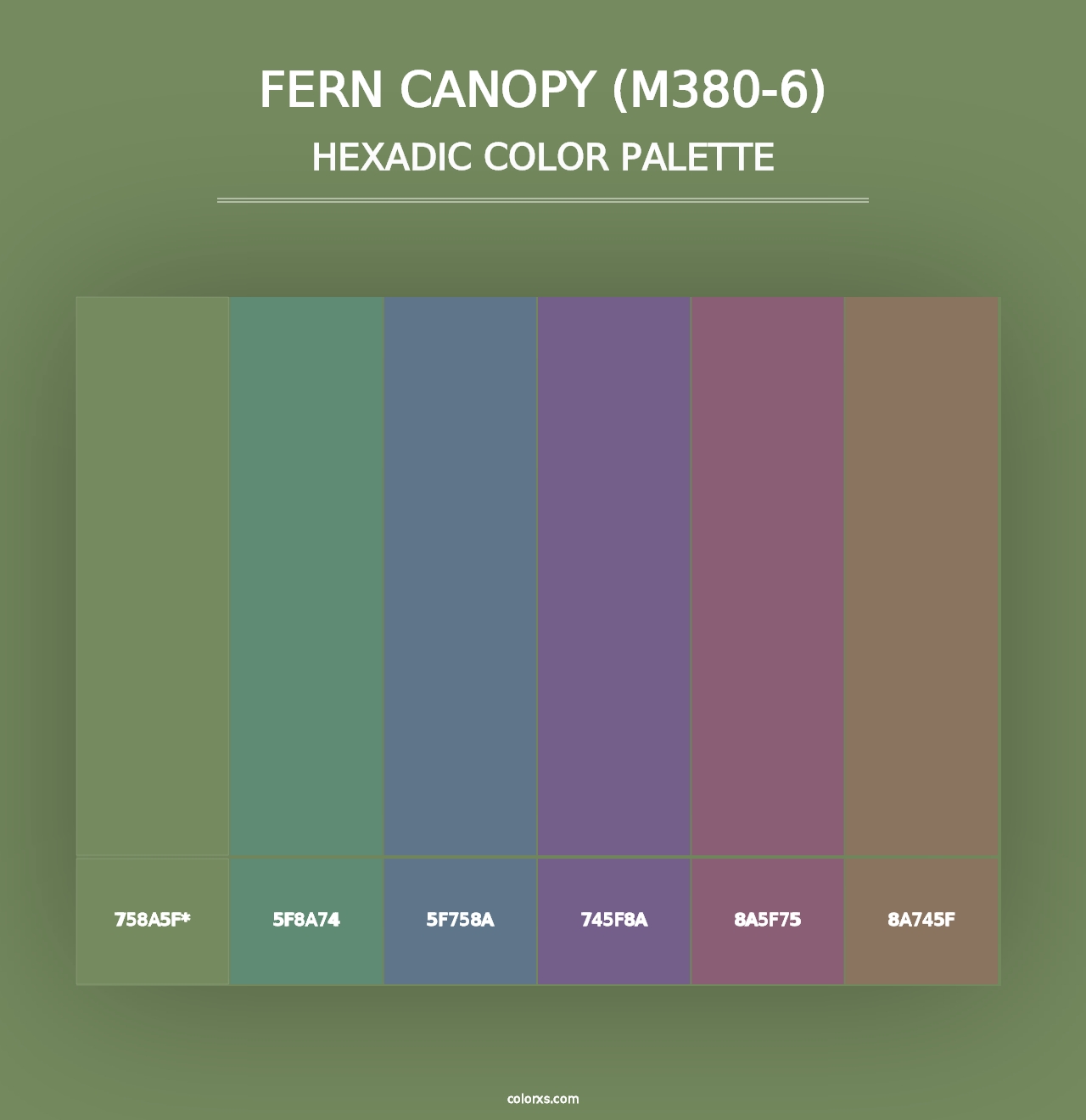 Fern Canopy (M380-6) - Hexadic Color Palette