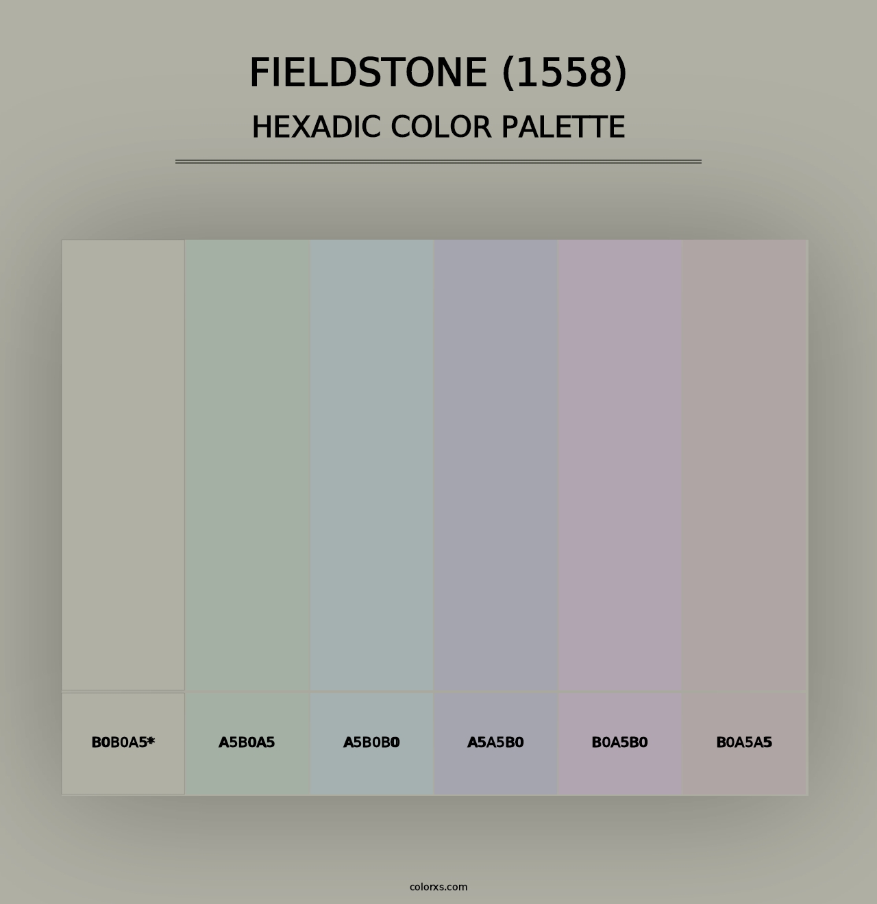 Fieldstone (1558) - Hexadic Color Palette