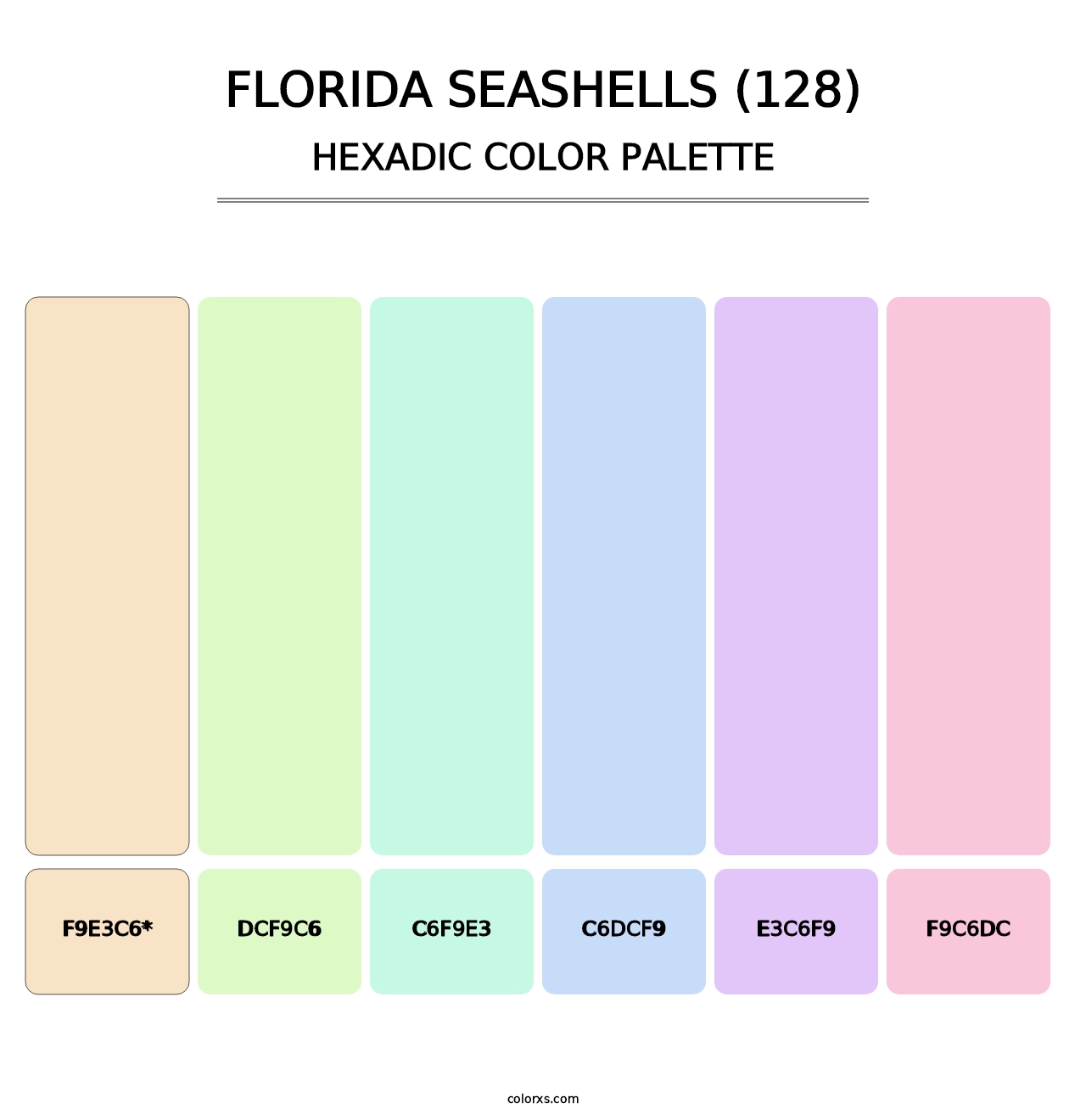 Florida Seashells (128) - Hexadic Color Palette