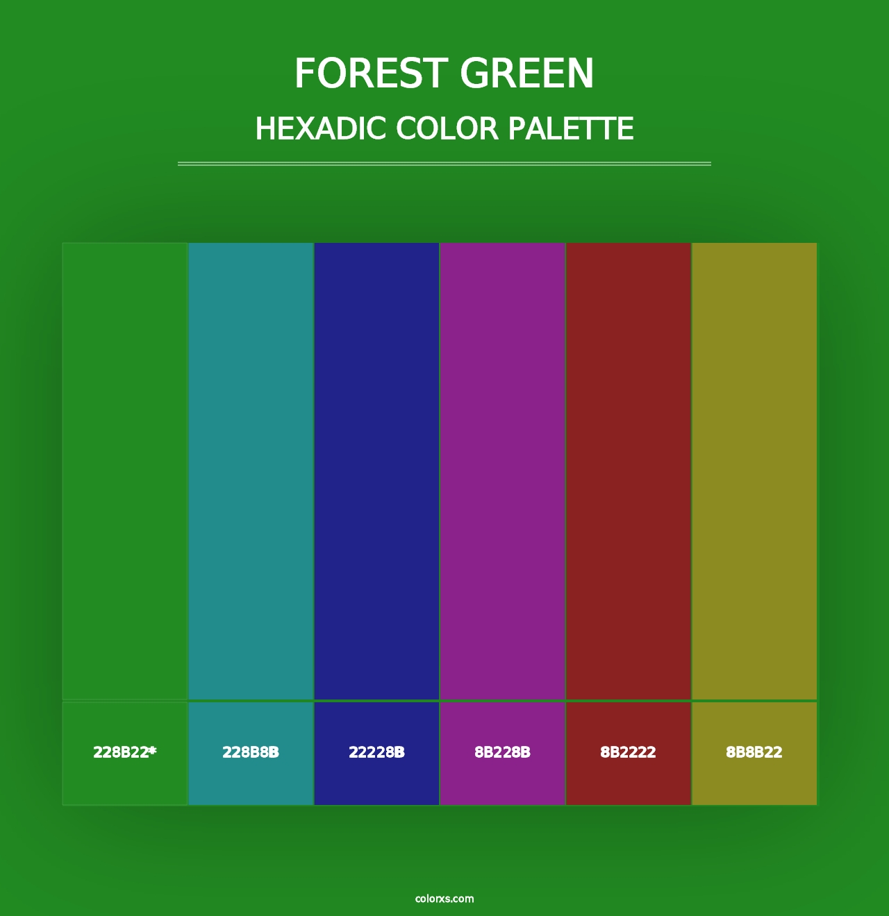 Forest green - Hexadic Color Palette