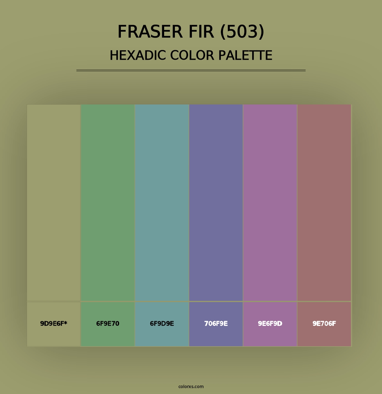 Fraser Fir (503) - Hexadic Color Palette