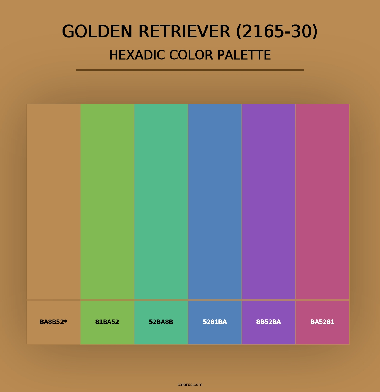 Golden Retriever (2165-30) - Hexadic Color Palette