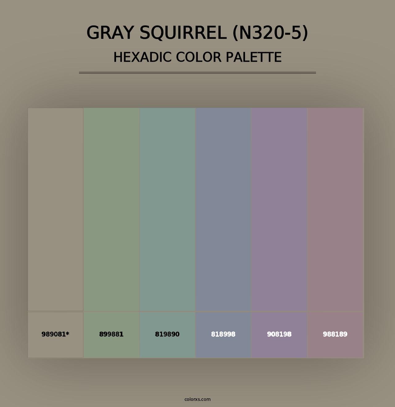 Gray Squirrel (N320-5) - Hexadic Color Palette