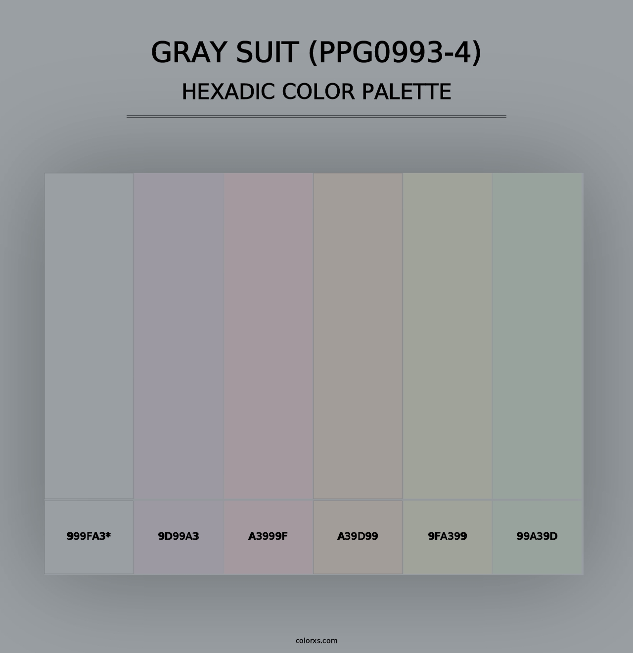 Gray Suit (PPG0993-4) - Hexadic Color Palette