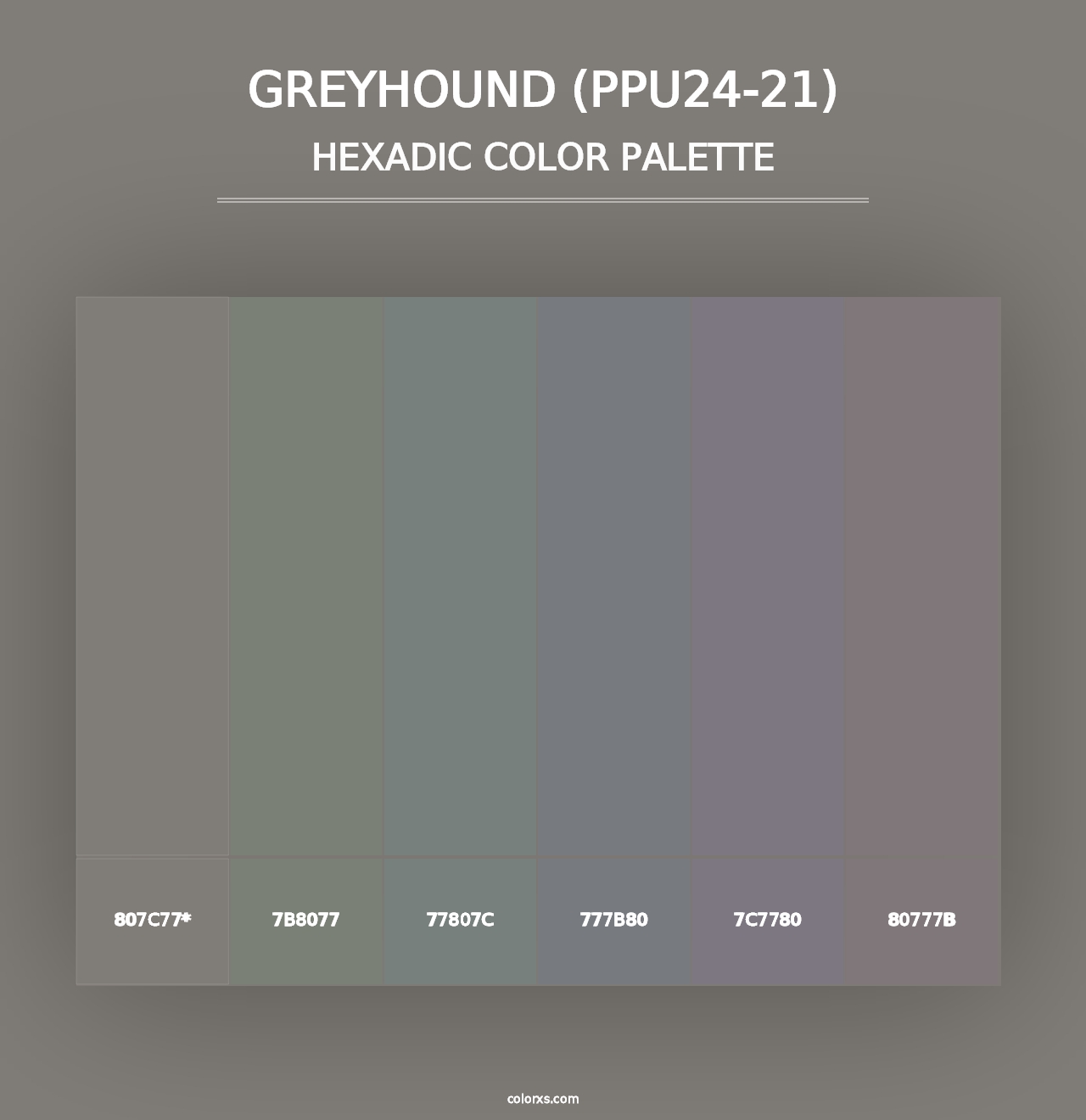 Greyhound (PPU24-21) - Hexadic Color Palette