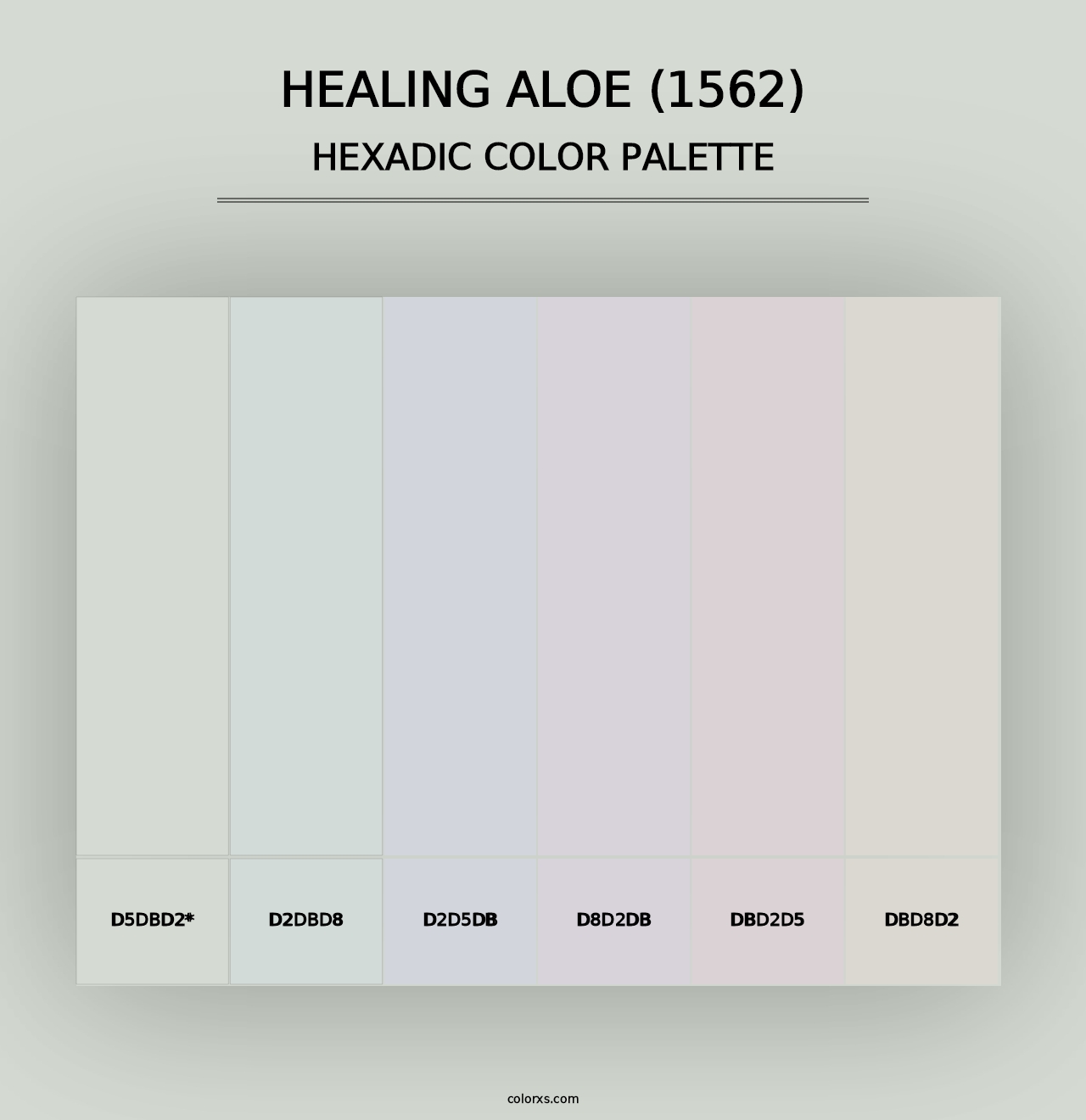 Healing Aloe (1562) - Hexadic Color Palette