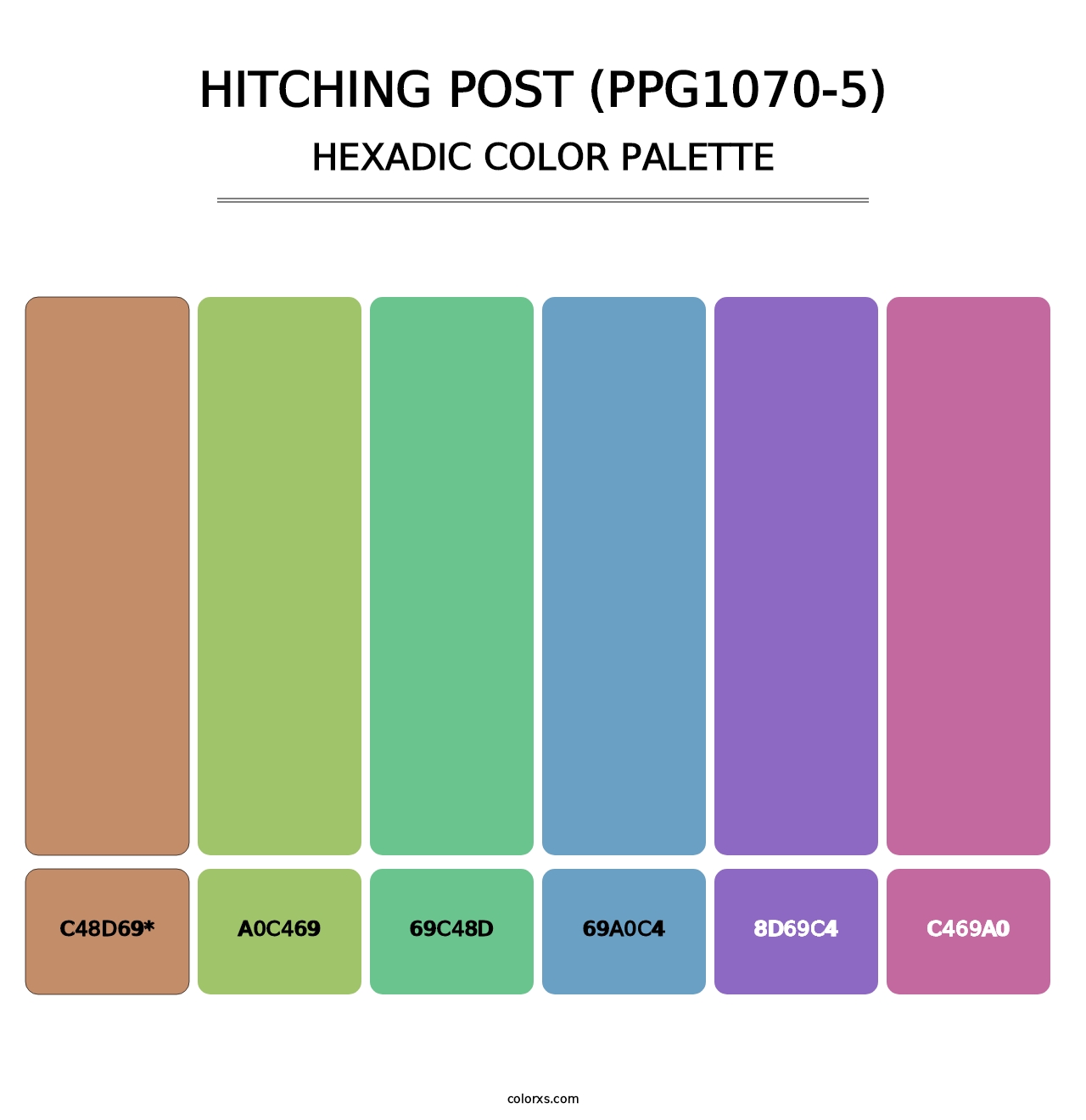 Hitching Post (PPG1070-5) - Hexadic Color Palette