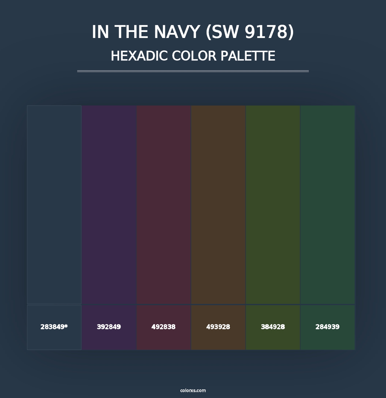 In the Navy (SW 9178) - Hexadic Color Palette