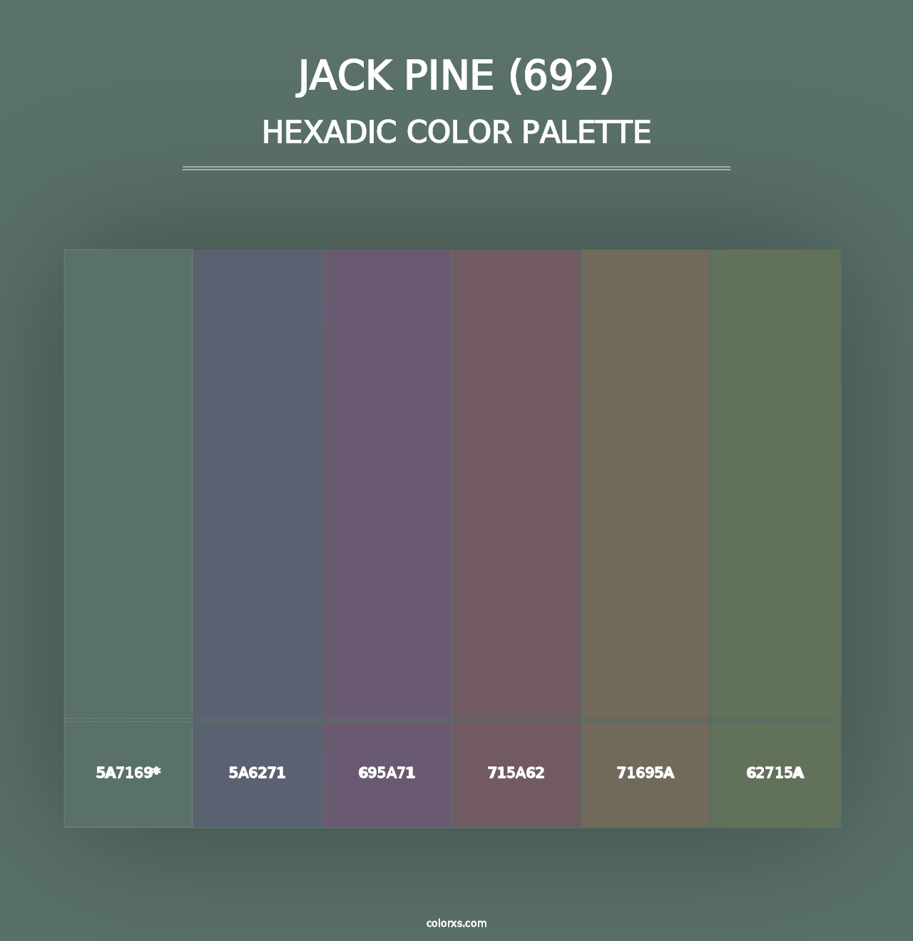 Jack Pine (692) - Hexadic Color Palette