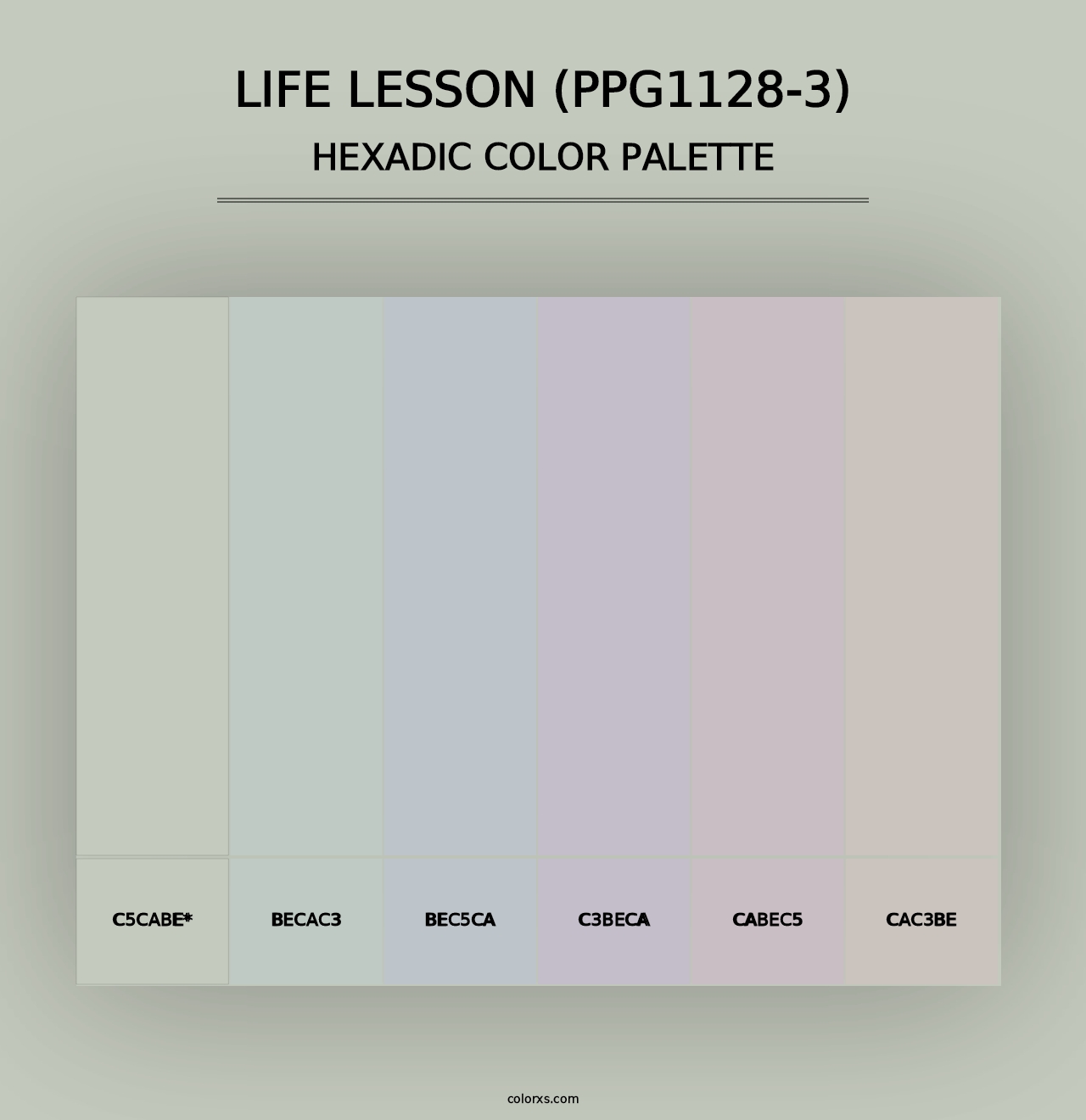 Life Lesson (PPG1128-3) - Hexadic Color Palette