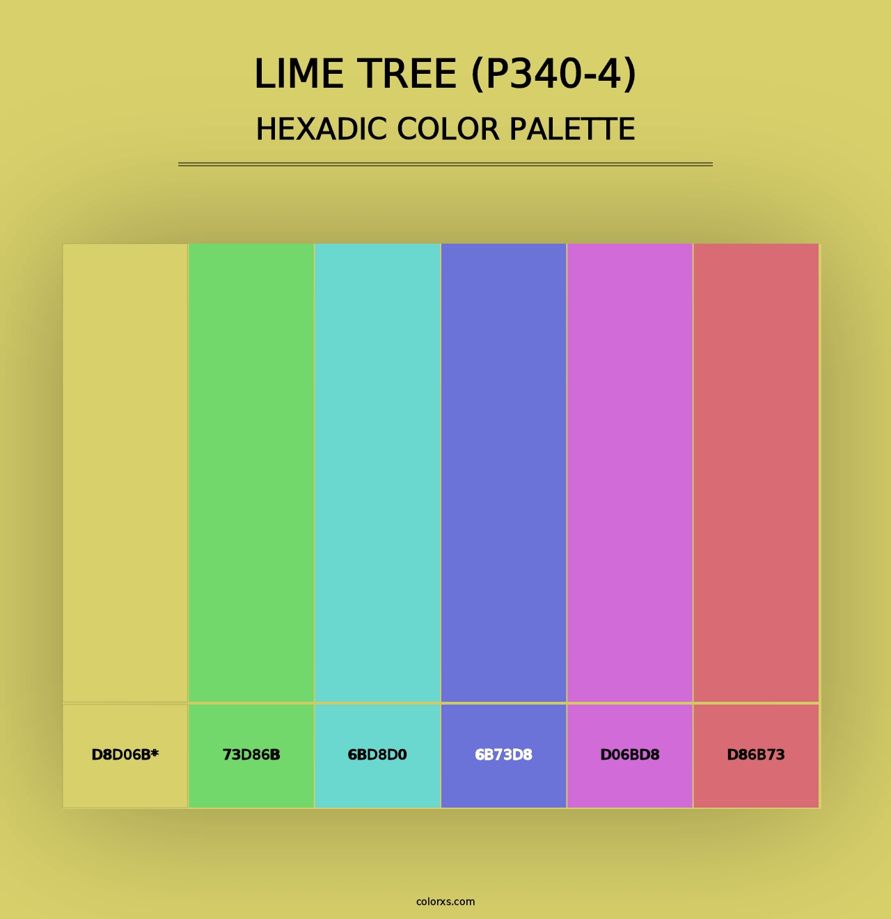 Lime Tree (P340-4) - Hexadic Color Palette