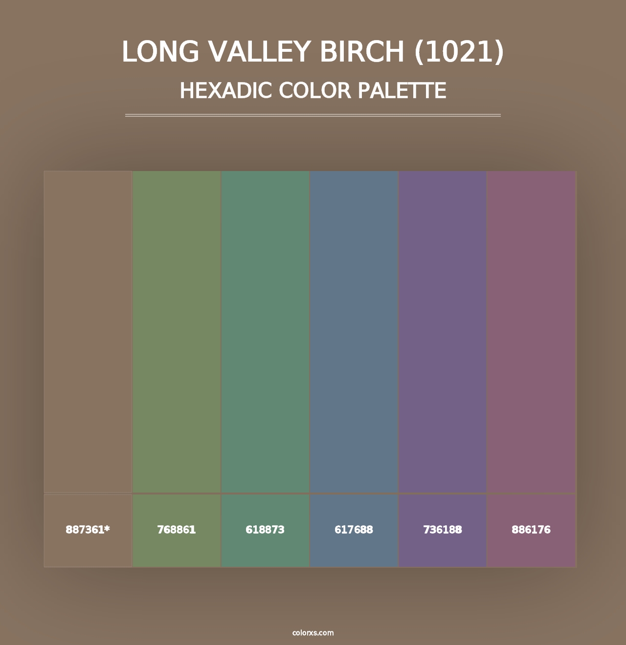 Long Valley Birch (1021) - Hexadic Color Palette