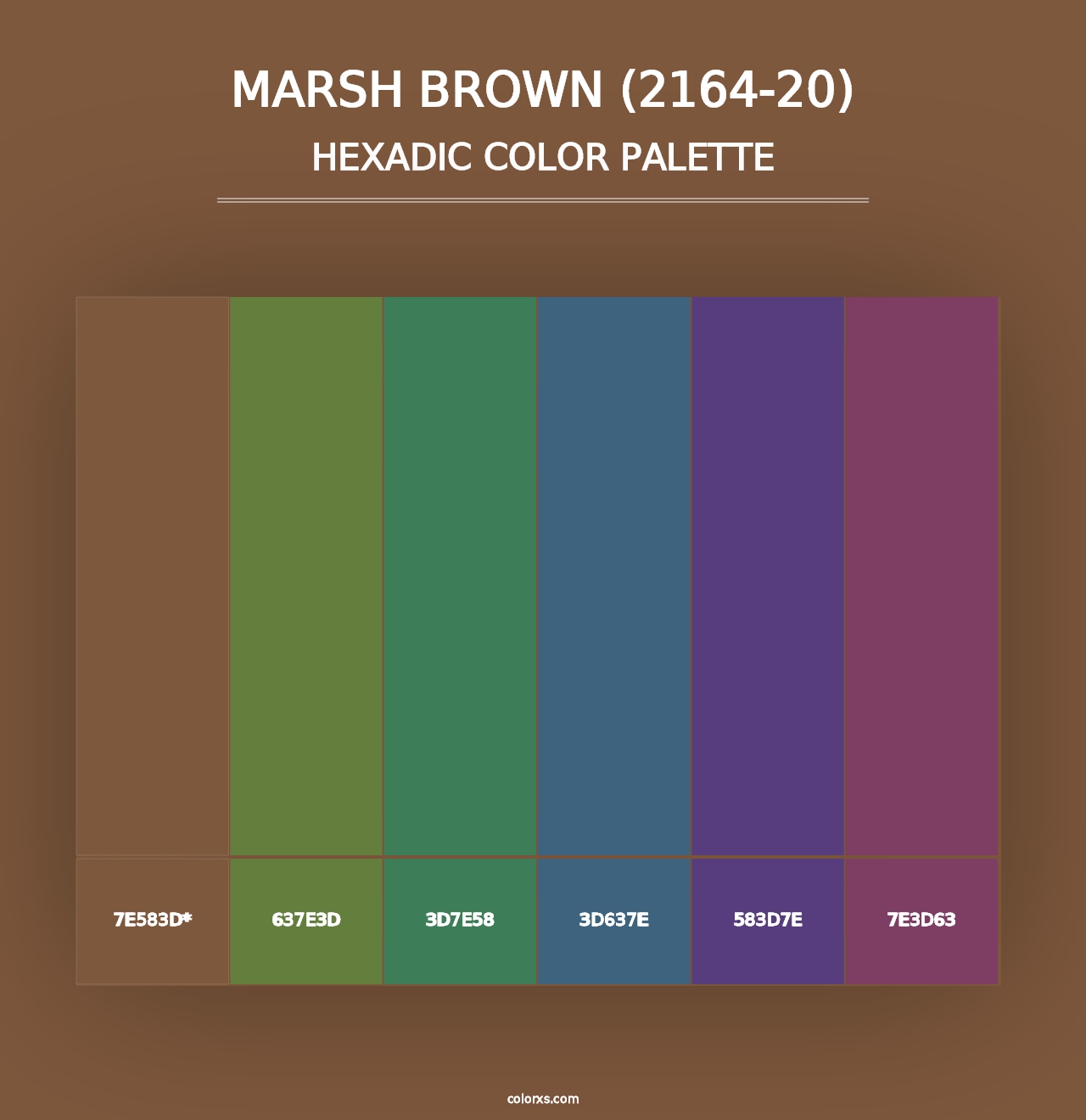 Marsh Brown (2164-20) - Hexadic Color Palette