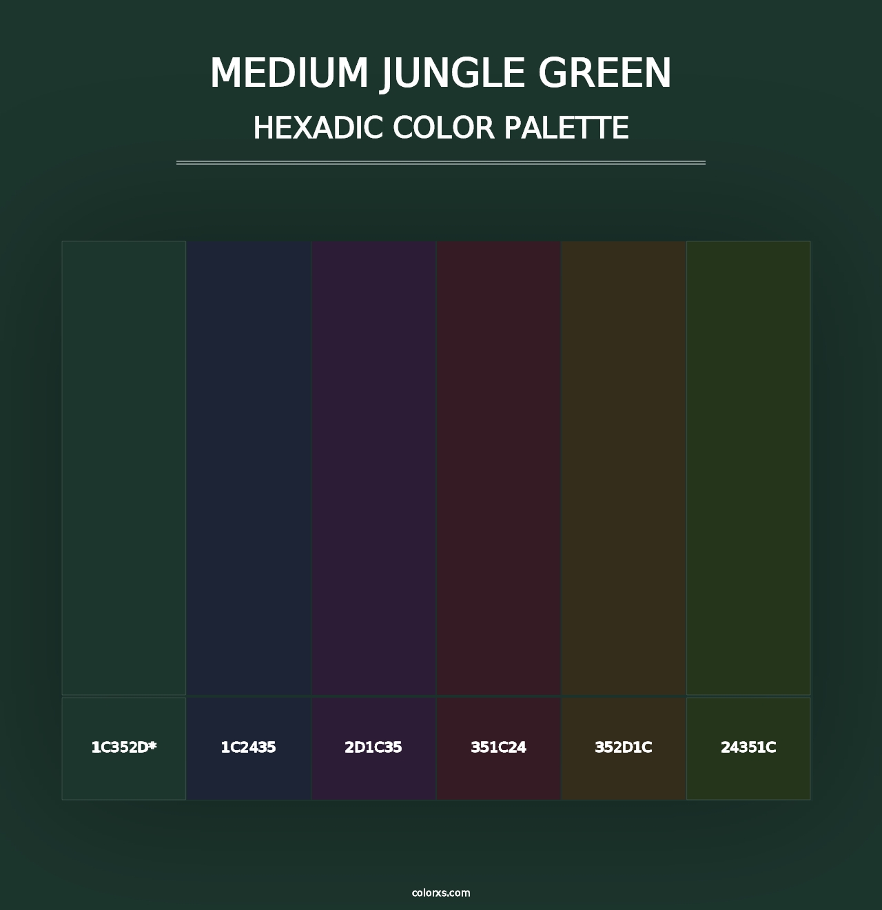 Medium Jungle Green - Hexadic Color Palette