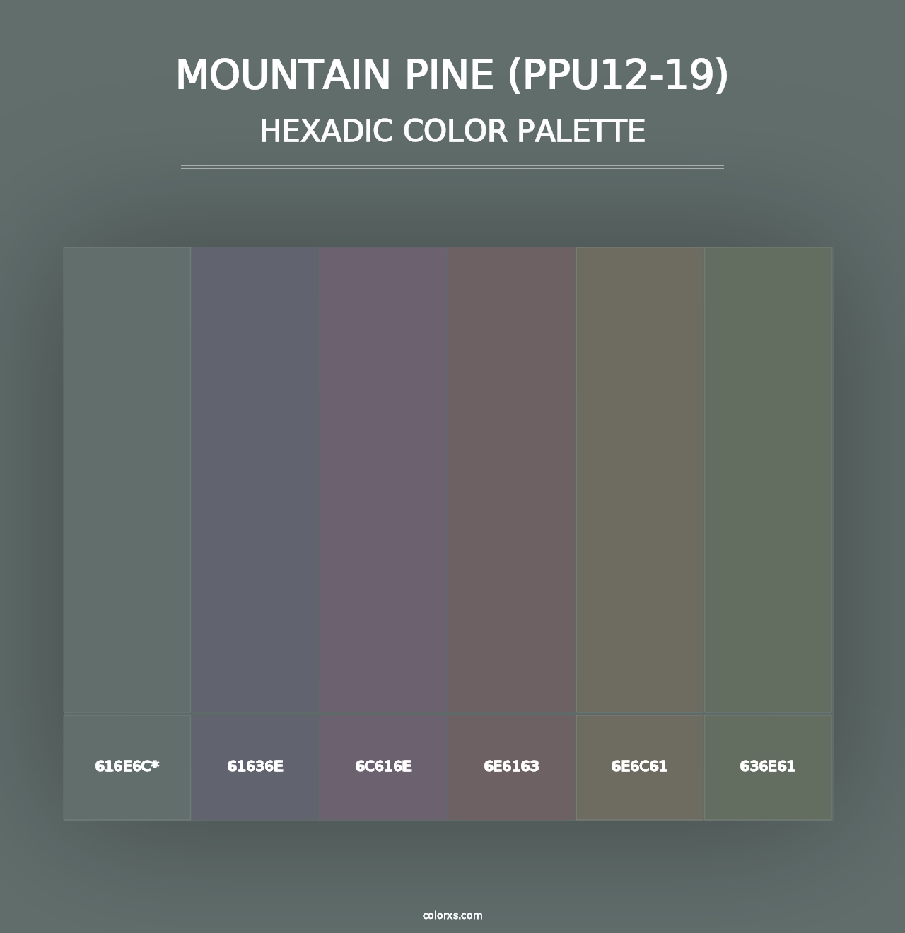 Mountain Pine (PPU12-19) - Hexadic Color Palette