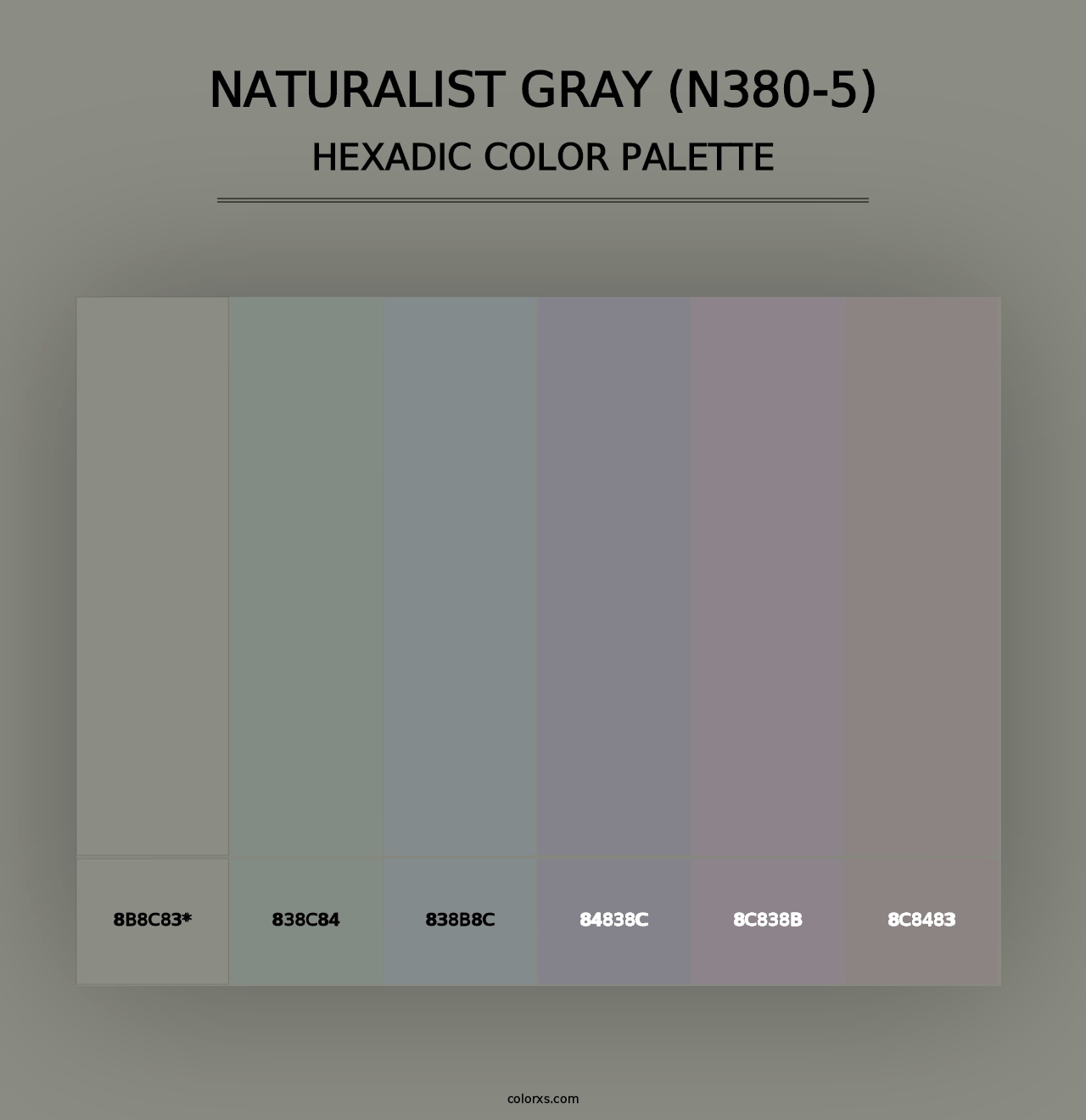 Naturalist Gray (N380-5) - Hexadic Color Palette