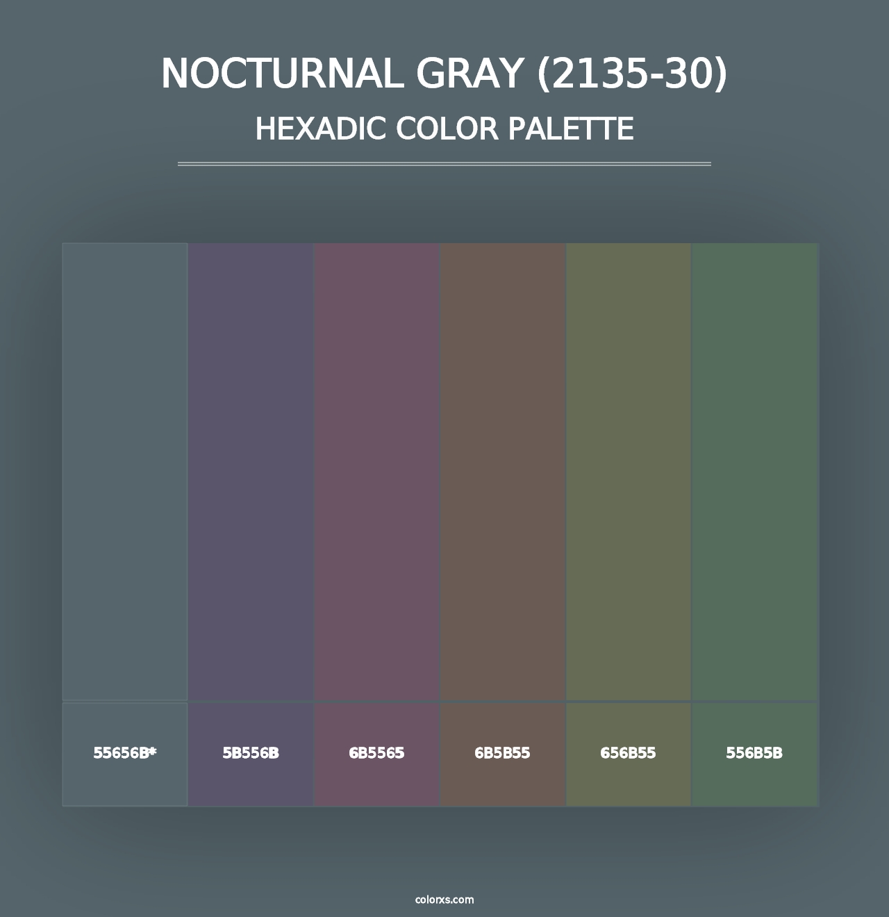 Nocturnal Gray (2135-30) - Hexadic Color Palette