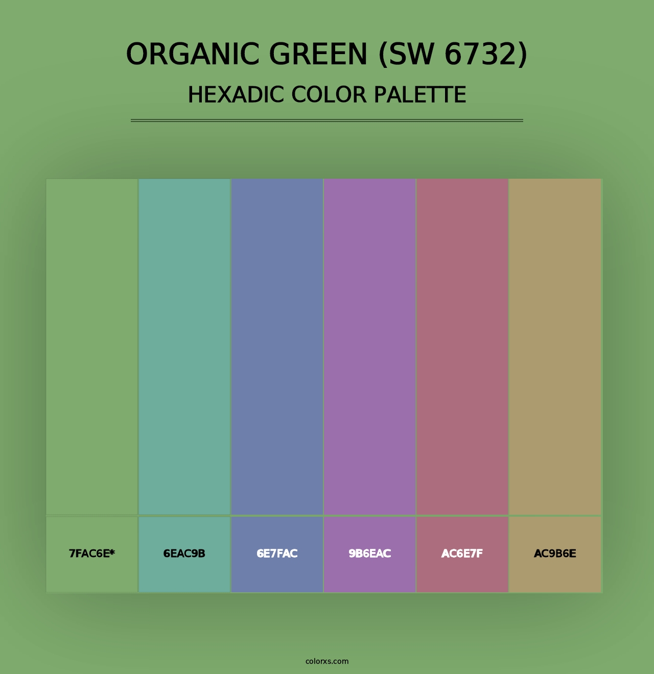 Organic Green (SW 6732) - Hexadic Color Palette