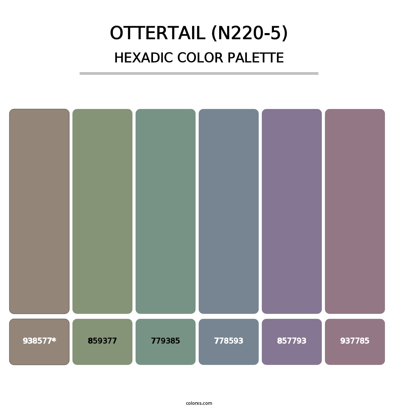 Ottertail (N220-5) - Hexadic Color Palette