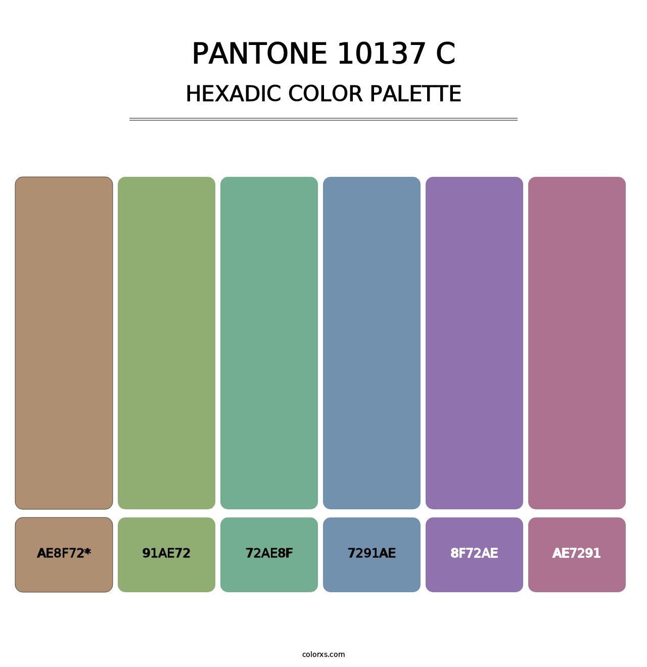 PANTONE 10137 C - Hexadic Color Palette