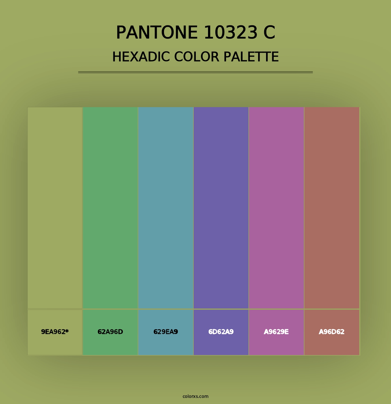 PANTONE 10323 C - Hexadic Color Palette