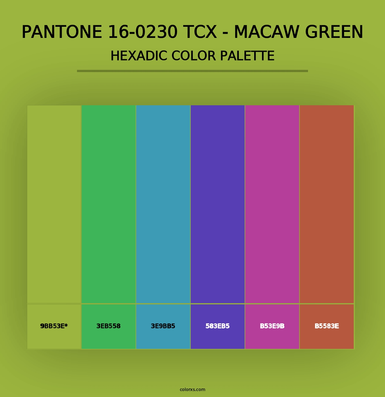 PANTONE 16-0230 TCX - Macaw Green - Hexadic Color Palette